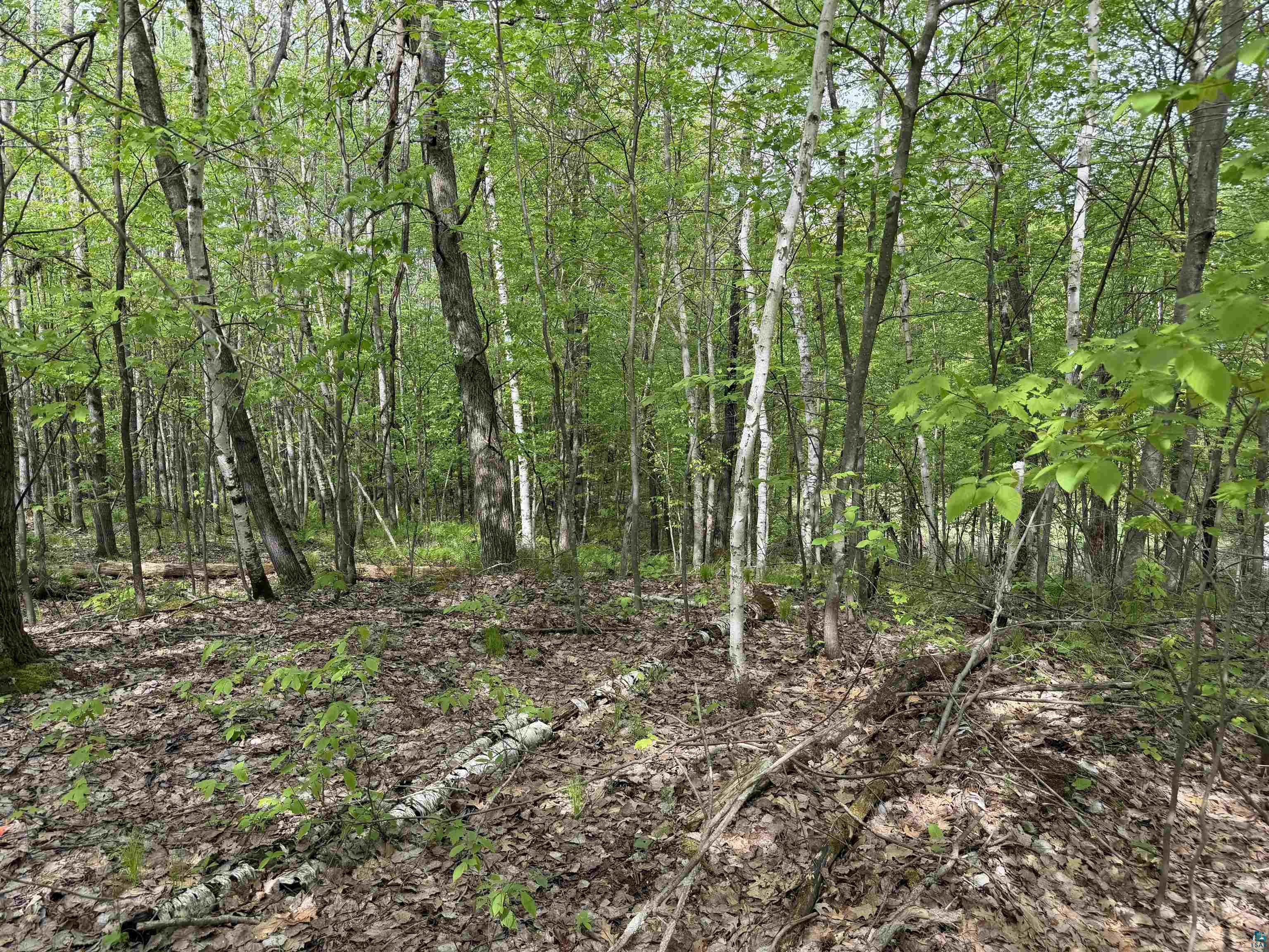 Lot 4 Peterson Rd, Wascott, WI 54859 Listing Photo  1