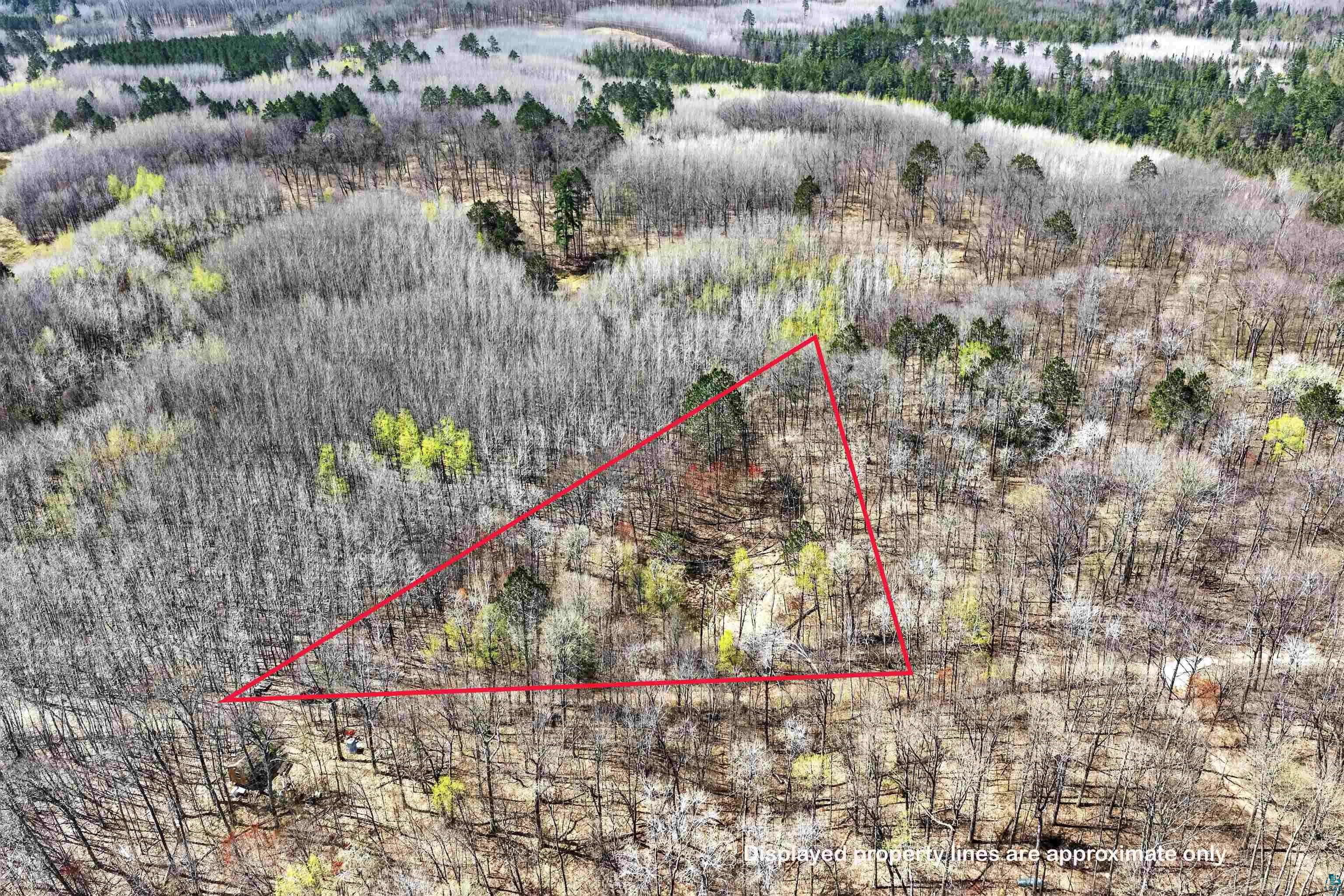 Lot 4 Peterson Rd, Wascott, WI 54859 Listing Photo  2