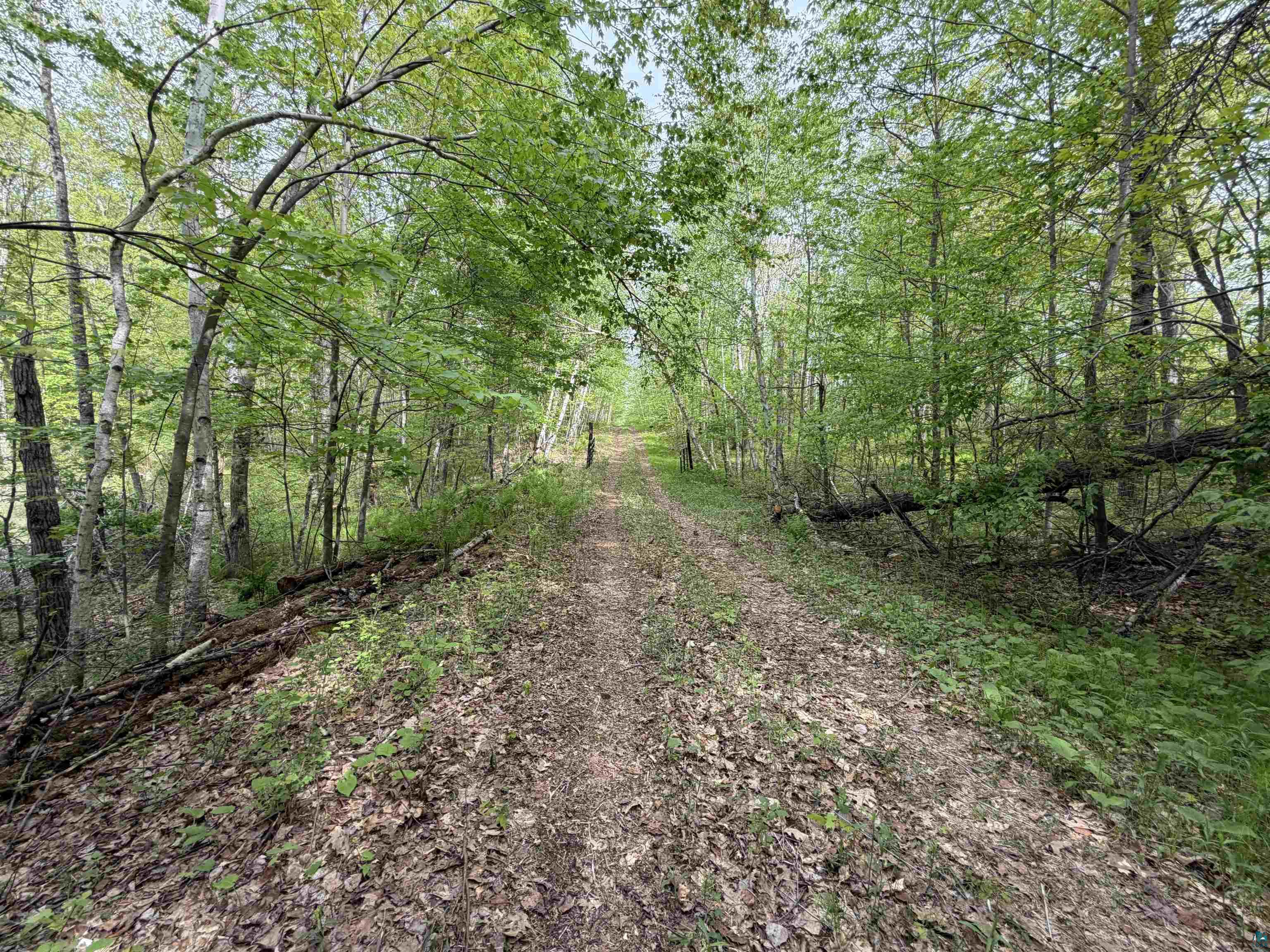 Lot 4 Peterson Rd, Wascott, WI 54859 Listing Photo  6
