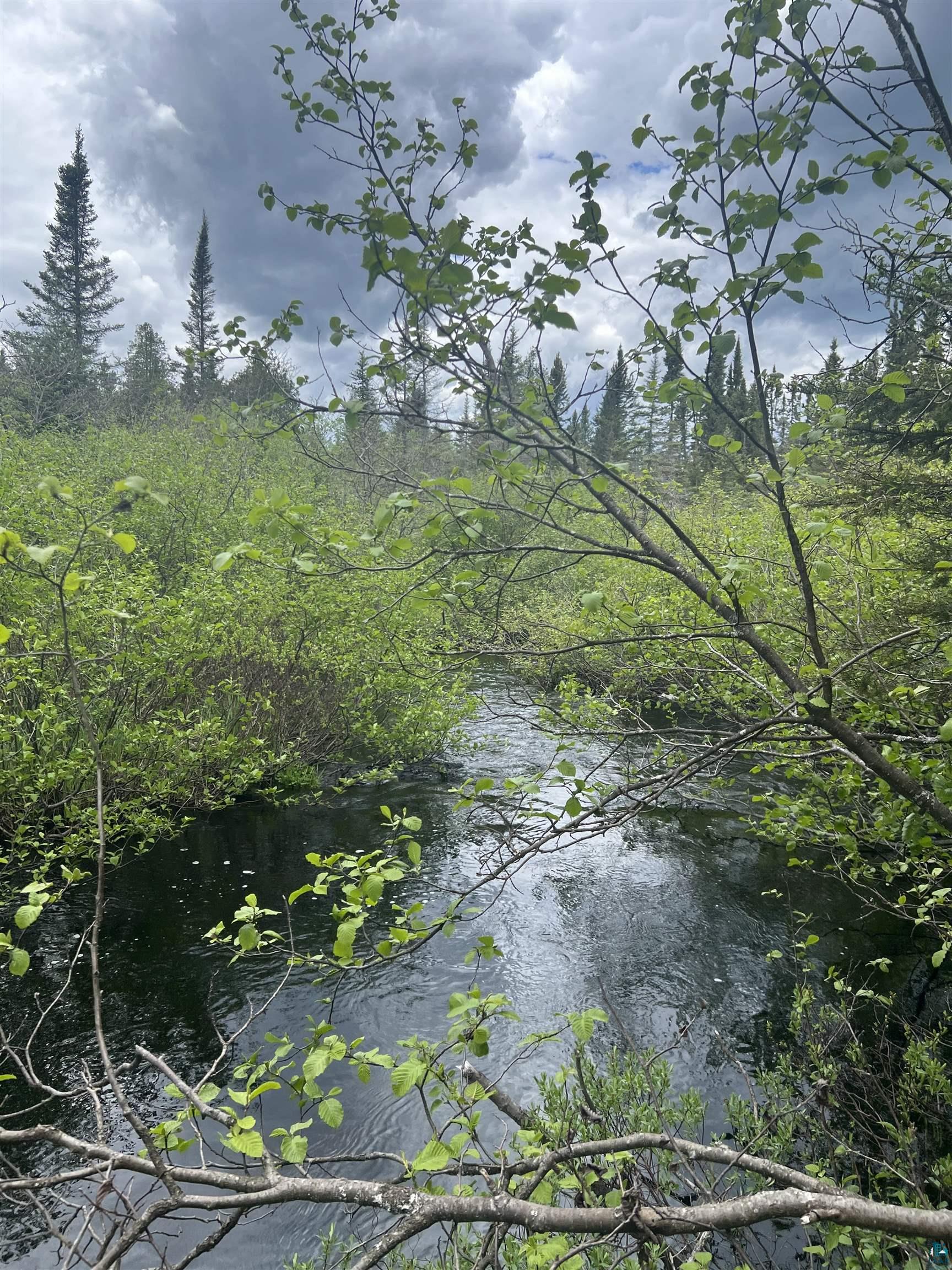 XXX Camp 26 Rd, Finland, MN 55614 Listing Photo  2