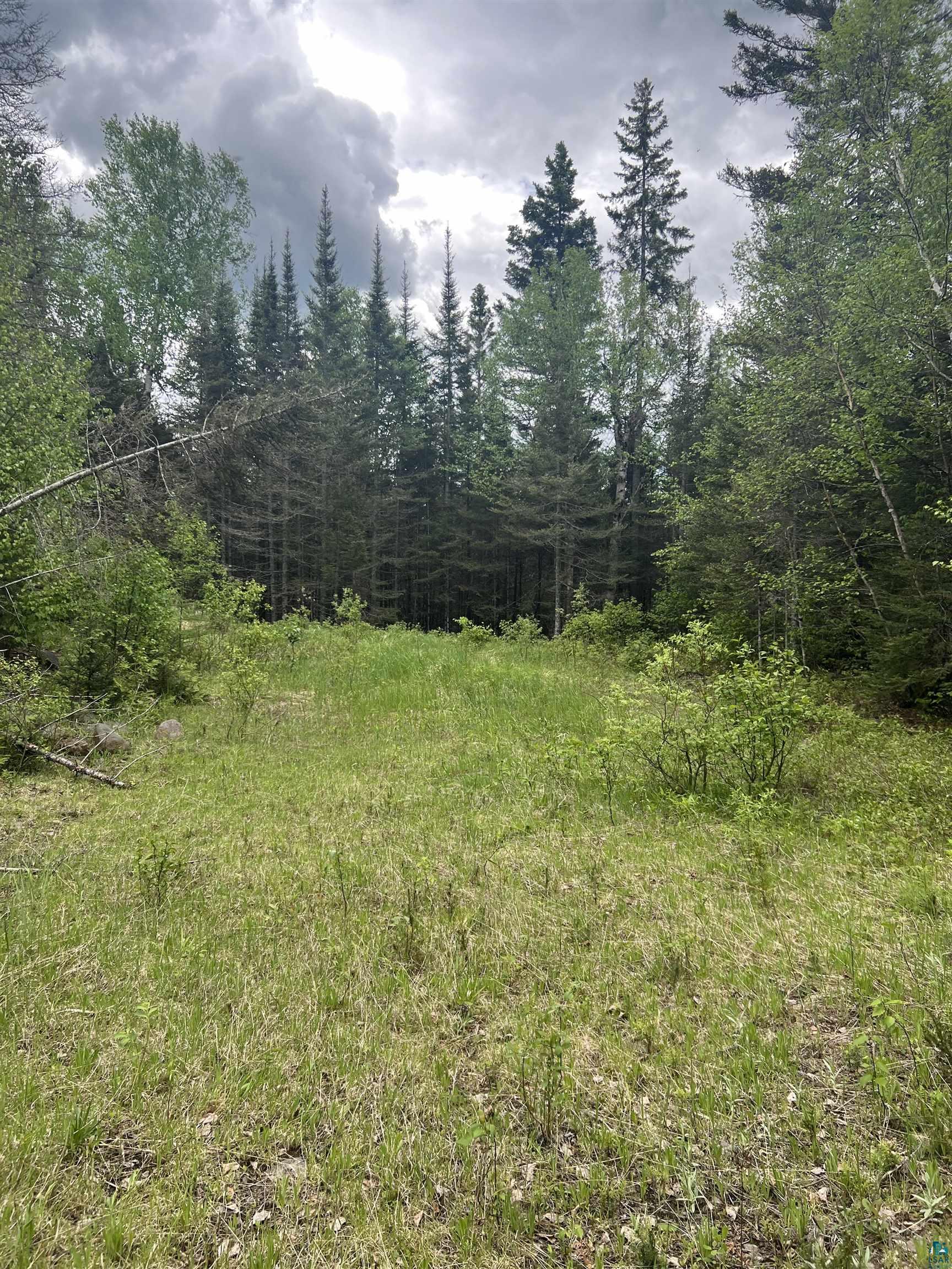 XXX Camp 26 Rd, Finland, MN 55614 Listing Photo  3