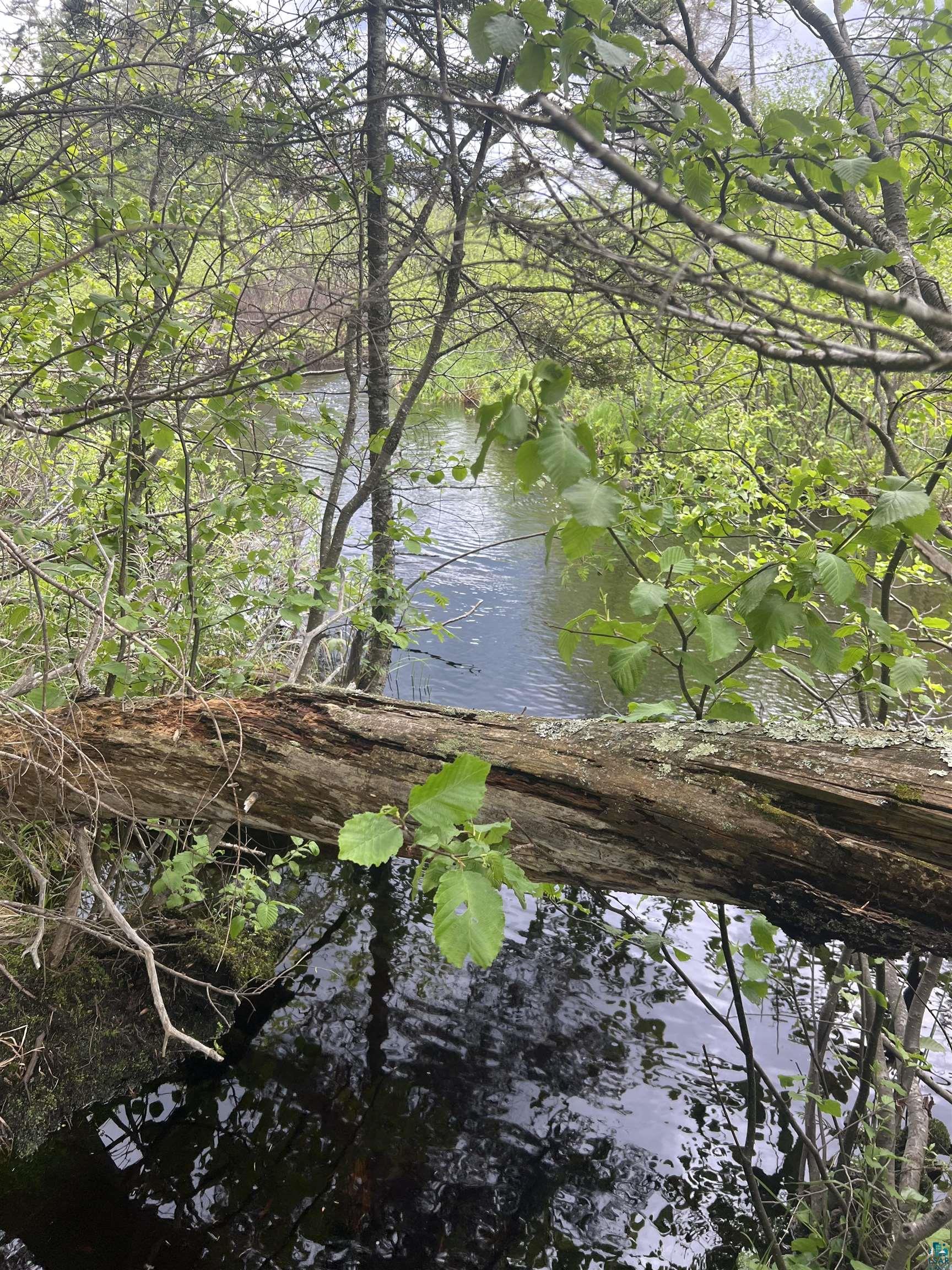 XXX Camp 26 Rd, Finland, MN 55614 Listing Photo  6