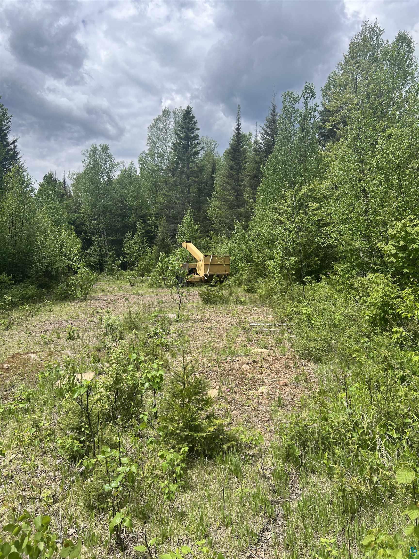 XXX Camp 26 Rd, Finland, MN 55614 Listing Photo  7