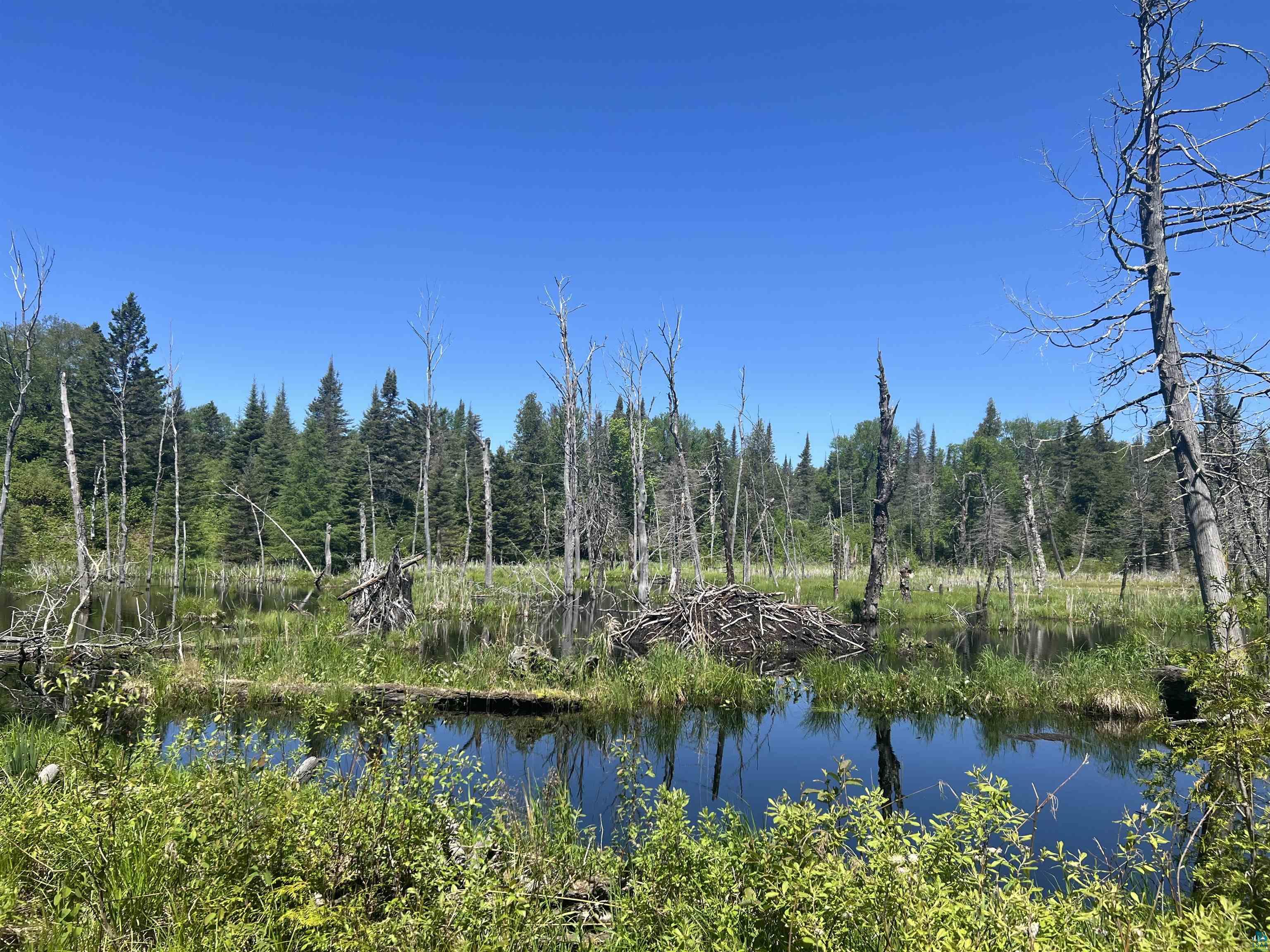 XXX3 Heffelfinger Tr, Finland, MN 55614 Listing Photo  1