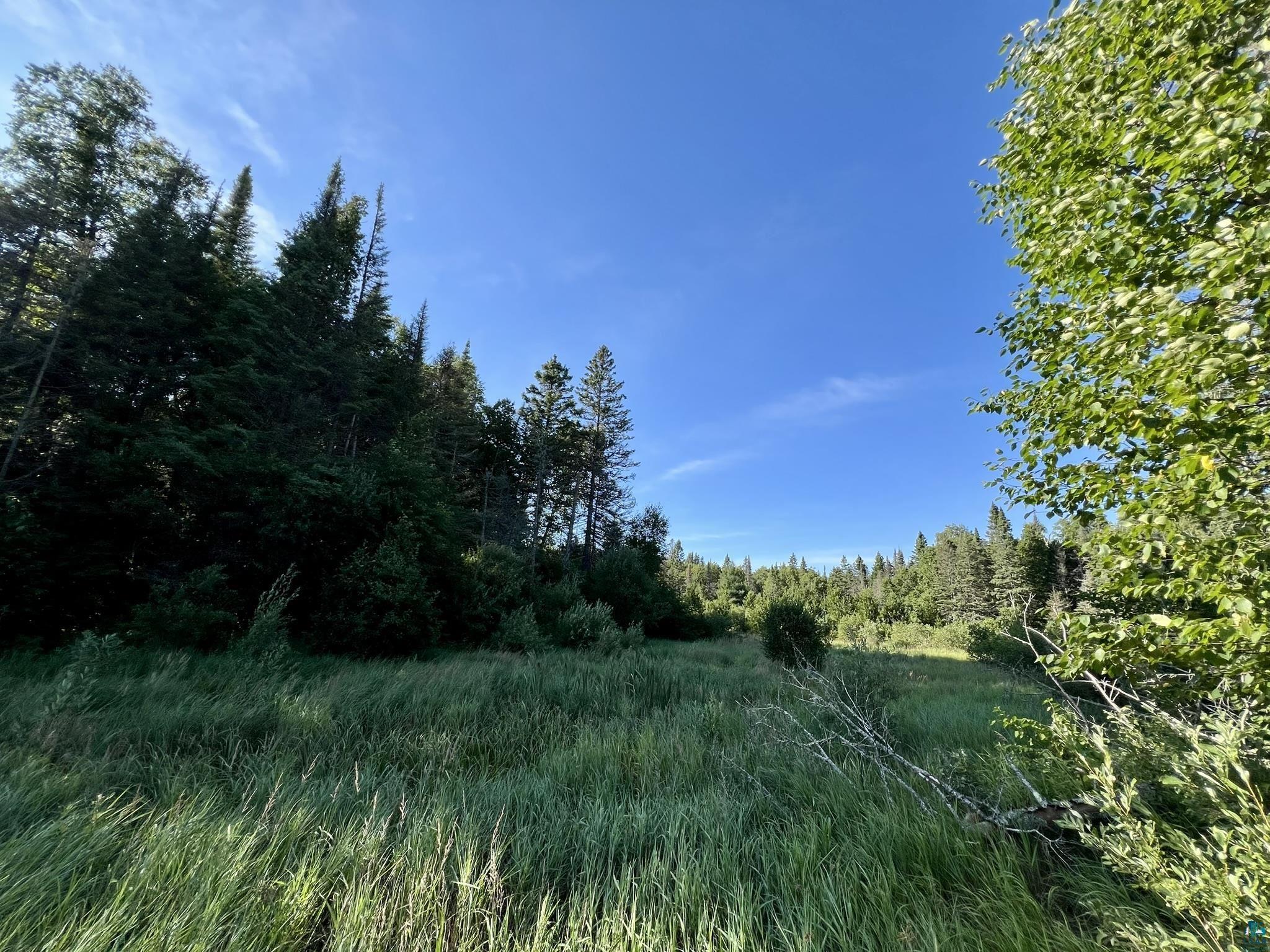 XXXX Camp 26 Rd, Finland, MN 55603 Listing Photo  18