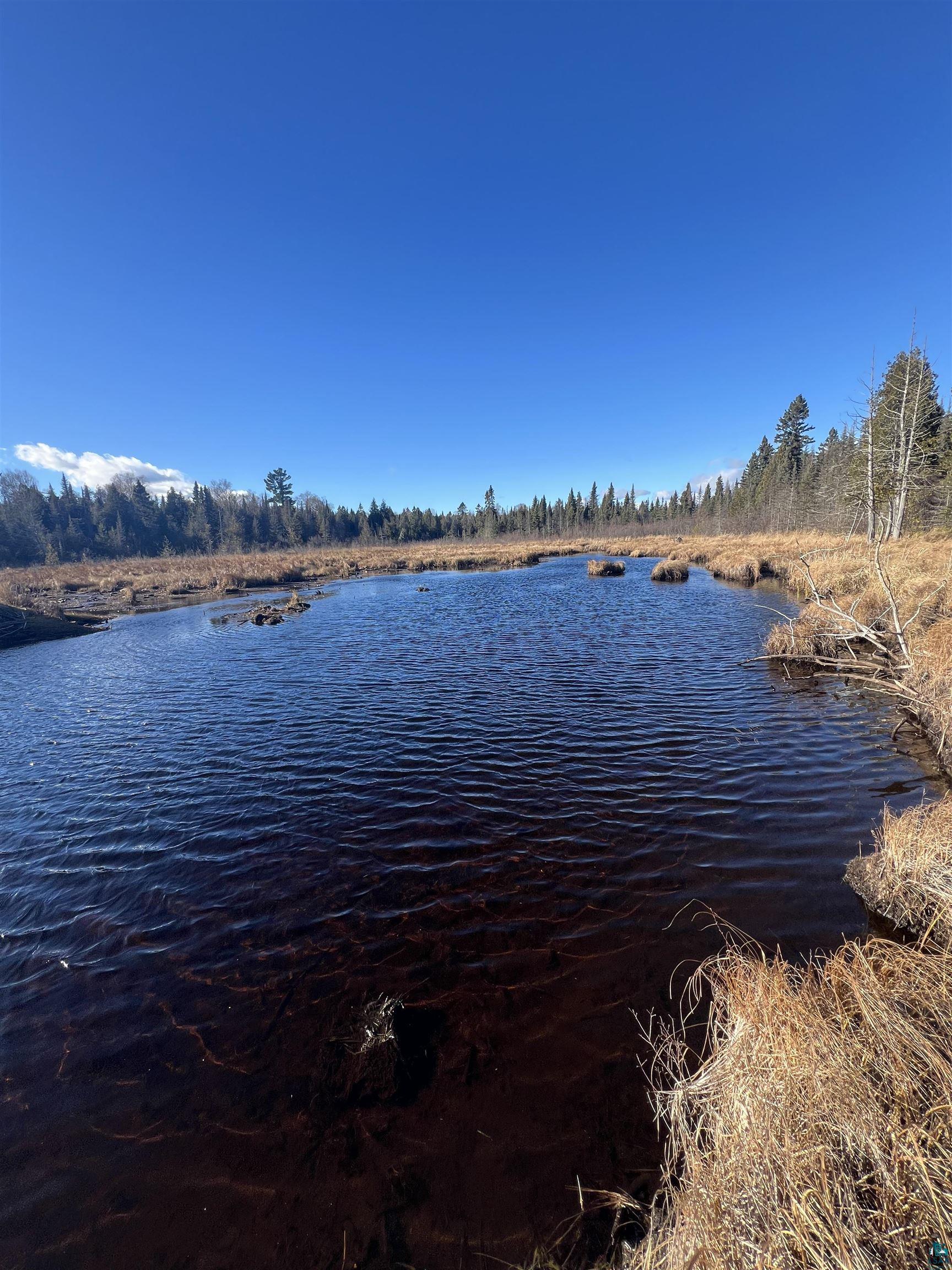 TBD Heffelfinger Tr, Finland, MN 55603 Listing Photo  2
