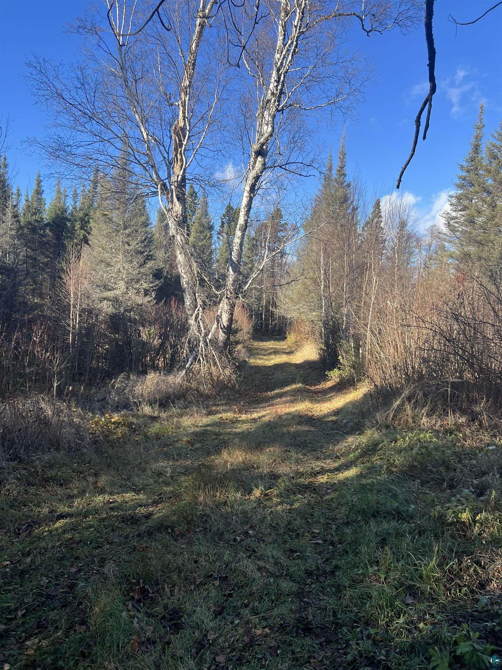 TBD Heffelfinger Tr, Finland, MN 55603 Listing Photo  11