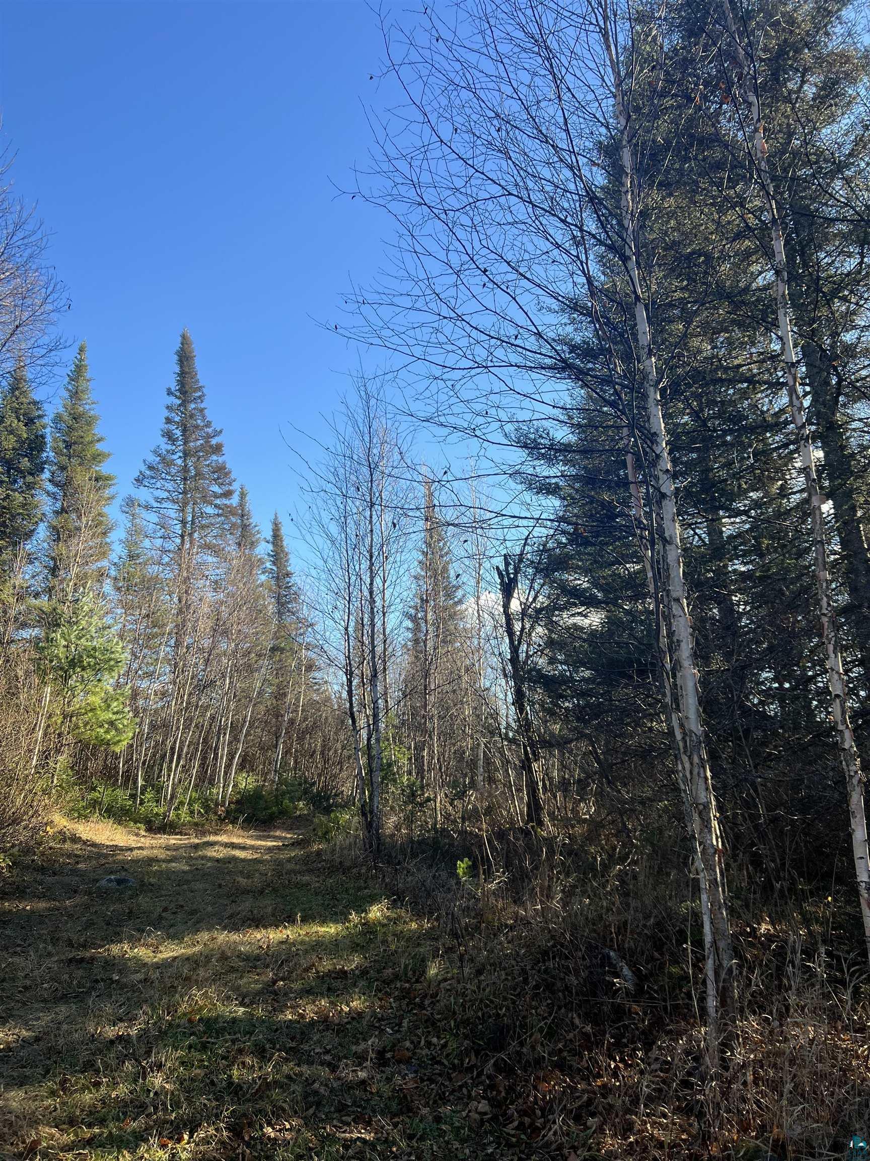 TBD Heffelfinger Tr, Finland, MN 55603 Listing Photo  12