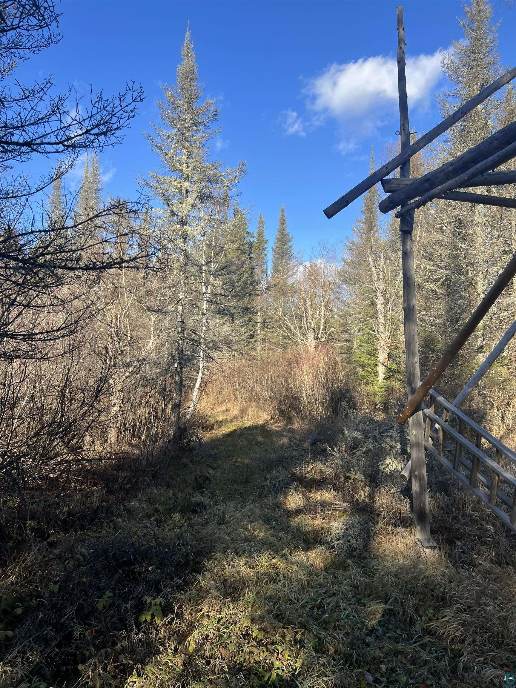 TBD Heffelfinger Tr, Finland, MN 55603 Listing Photo  13