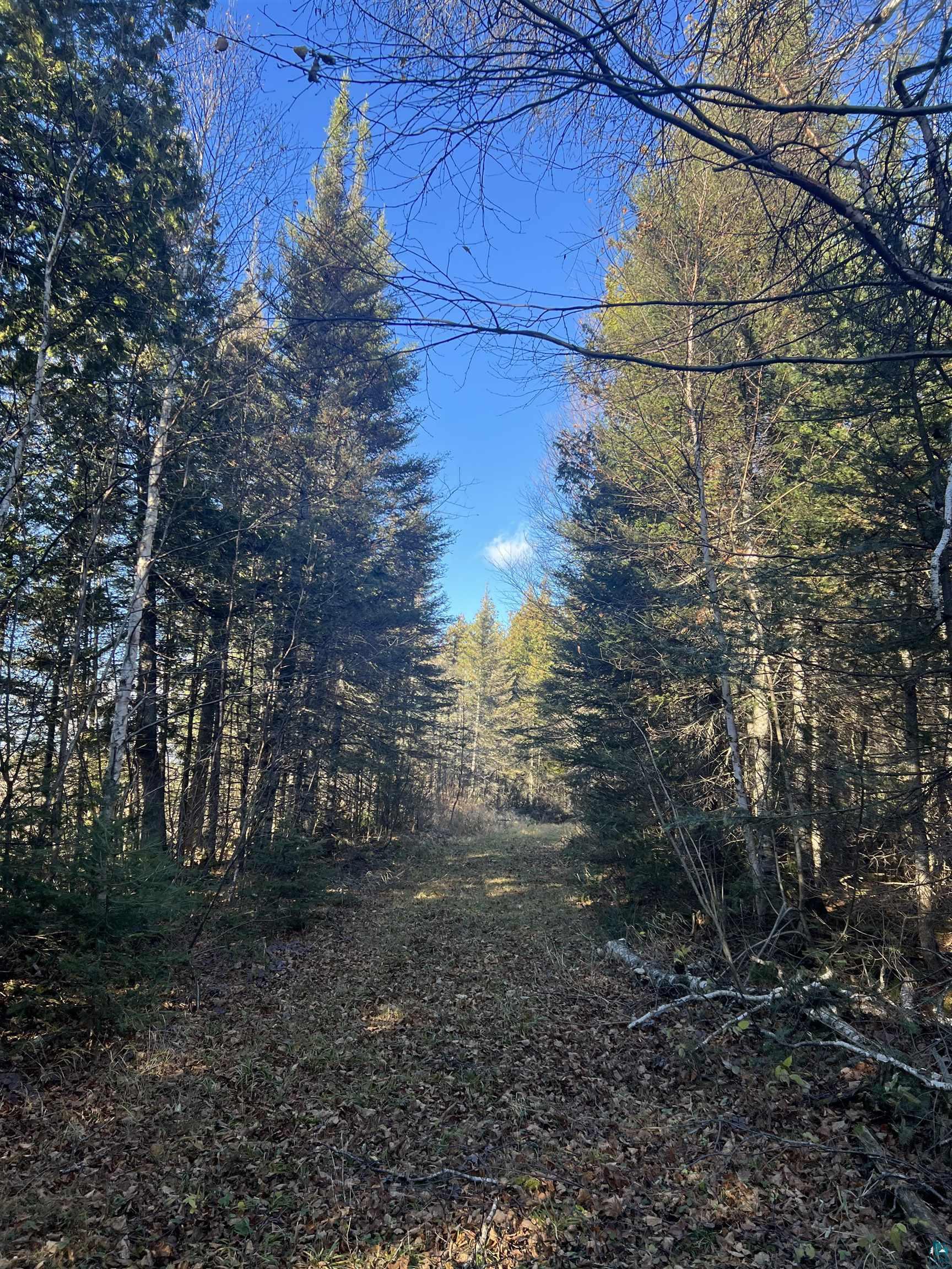 TBD Heffelfinger Tr, Finland, MN 55603 Listing Photo  19