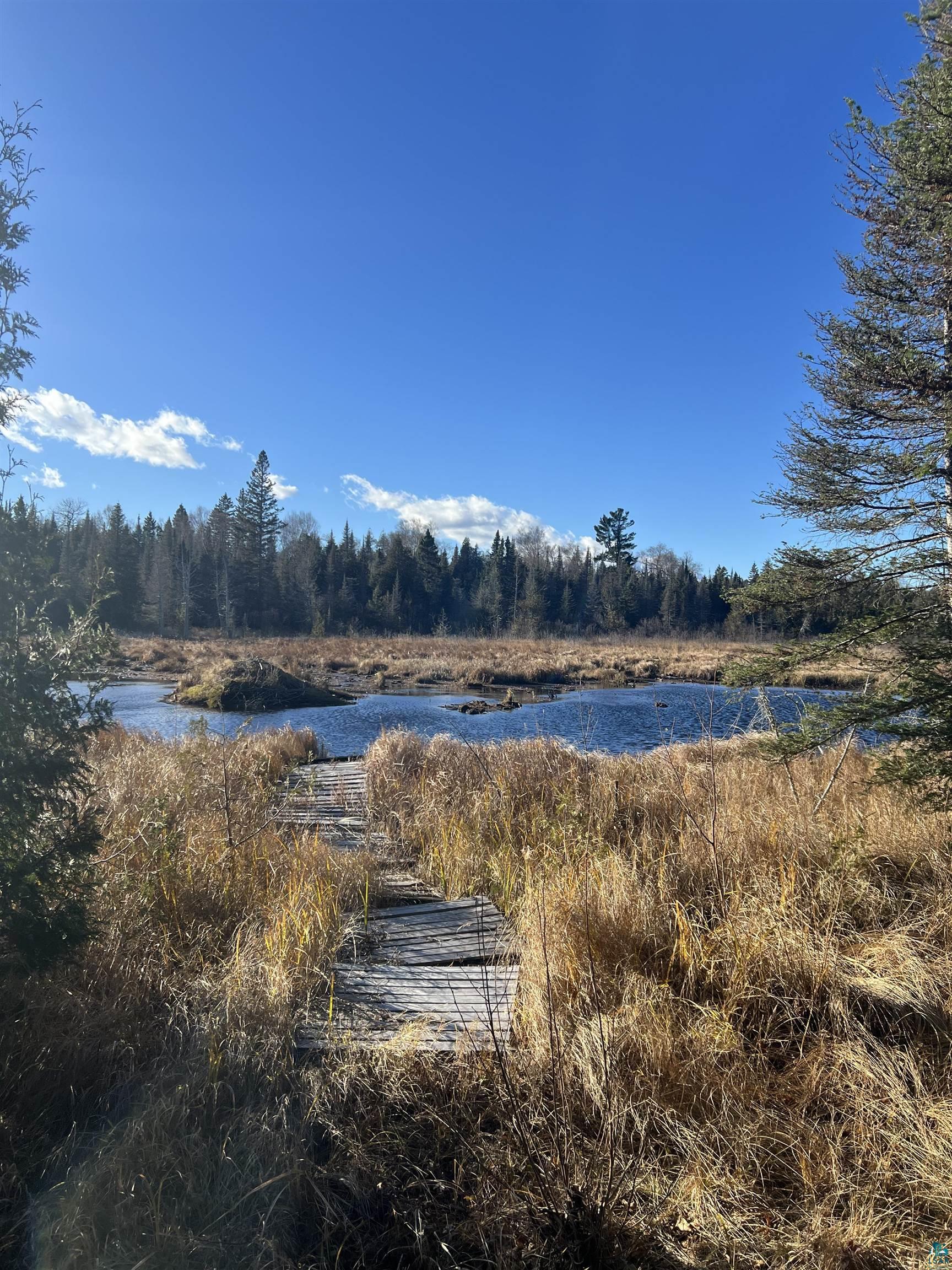 TBD Heffelfinger Tr, Finland, MN 55603 Listing Photo  22