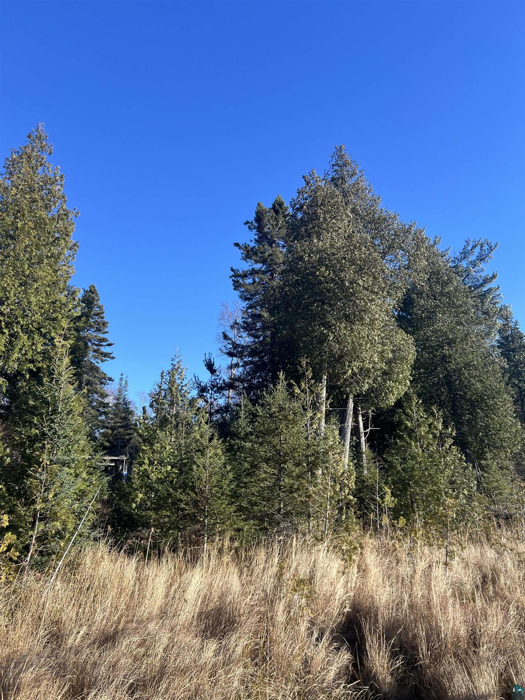 TBD Heffelfinger Tr, Finland, MN 55603 Listing Photo  24