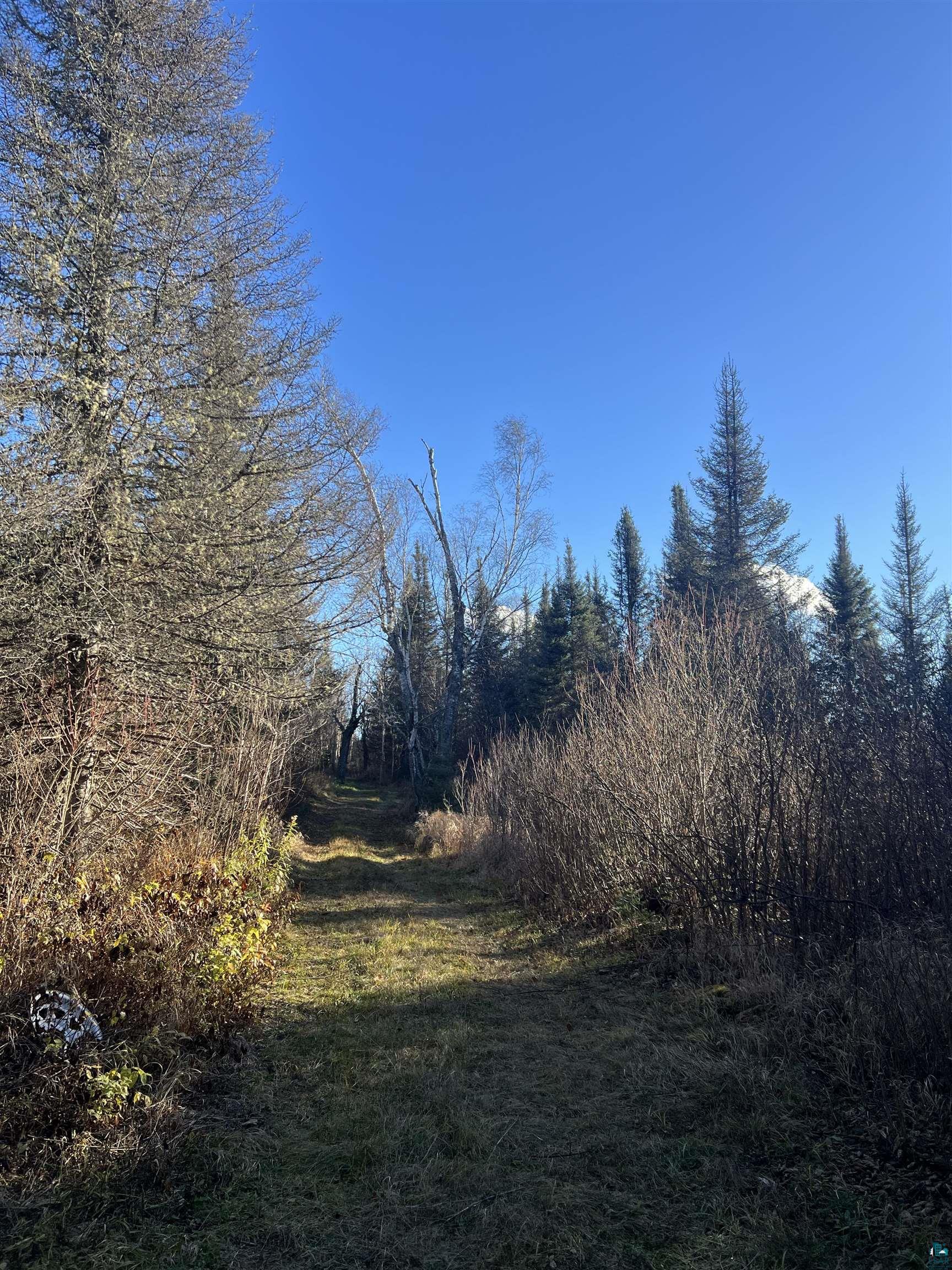 TBD Heffelfinger Tr, Finland, MN 55603 Listing Photo  25