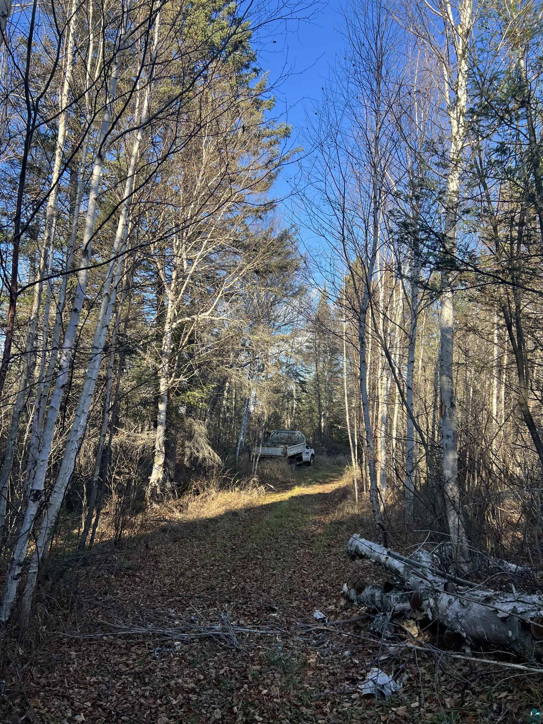 TBD Heffelfinger Tr, Finland, MN 55603 Listing Photo  26