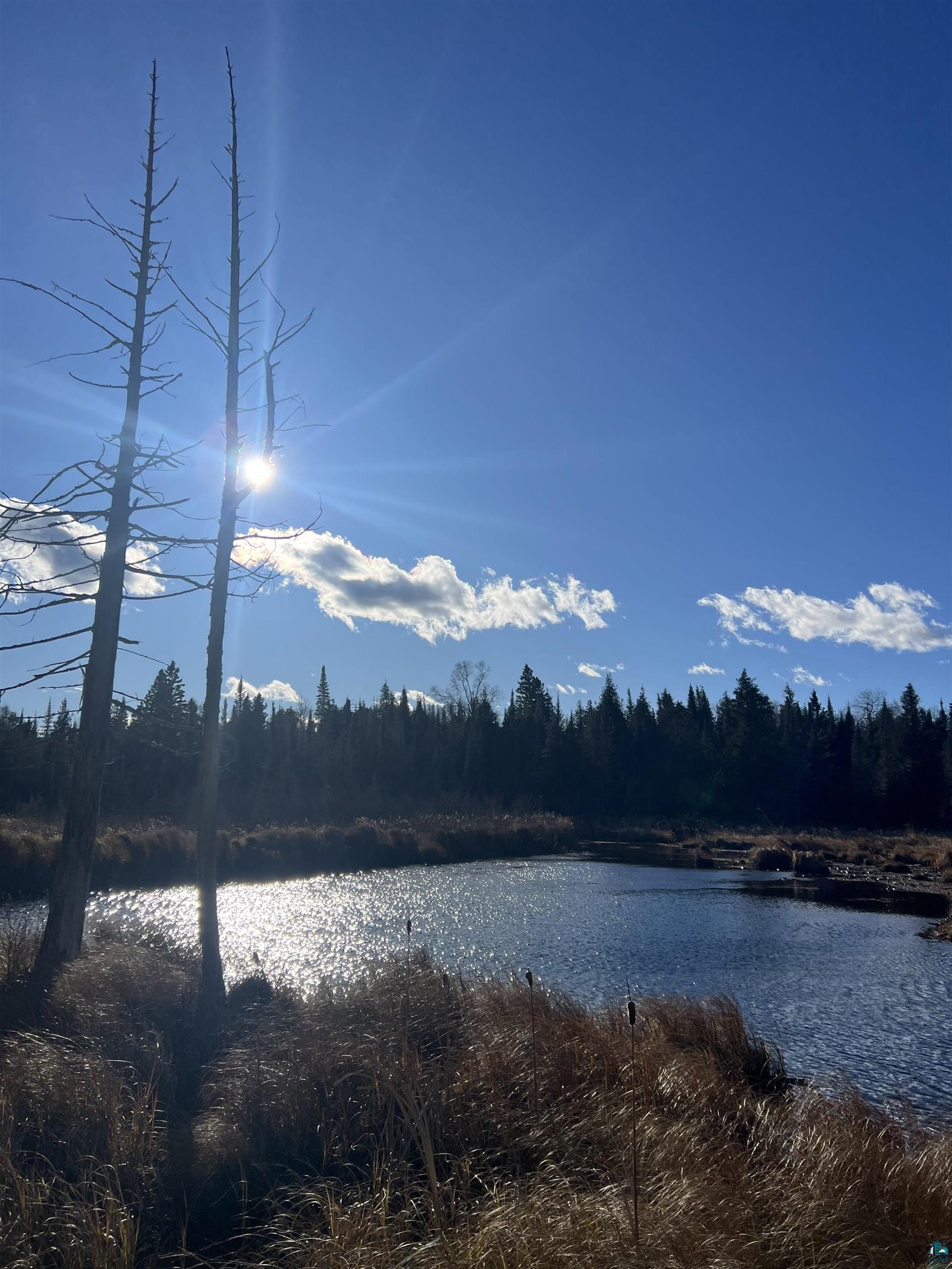 TBD Heffelfinger Tr, Finland, MN 55603 Listing Photo  5