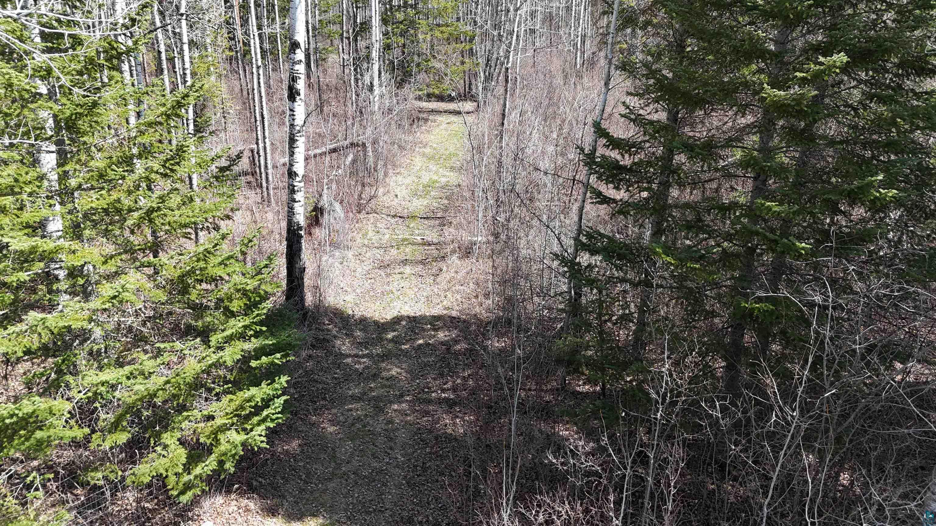 TBD 43 Lummi Rd, Orr, MN 55771 Listing Photo  20