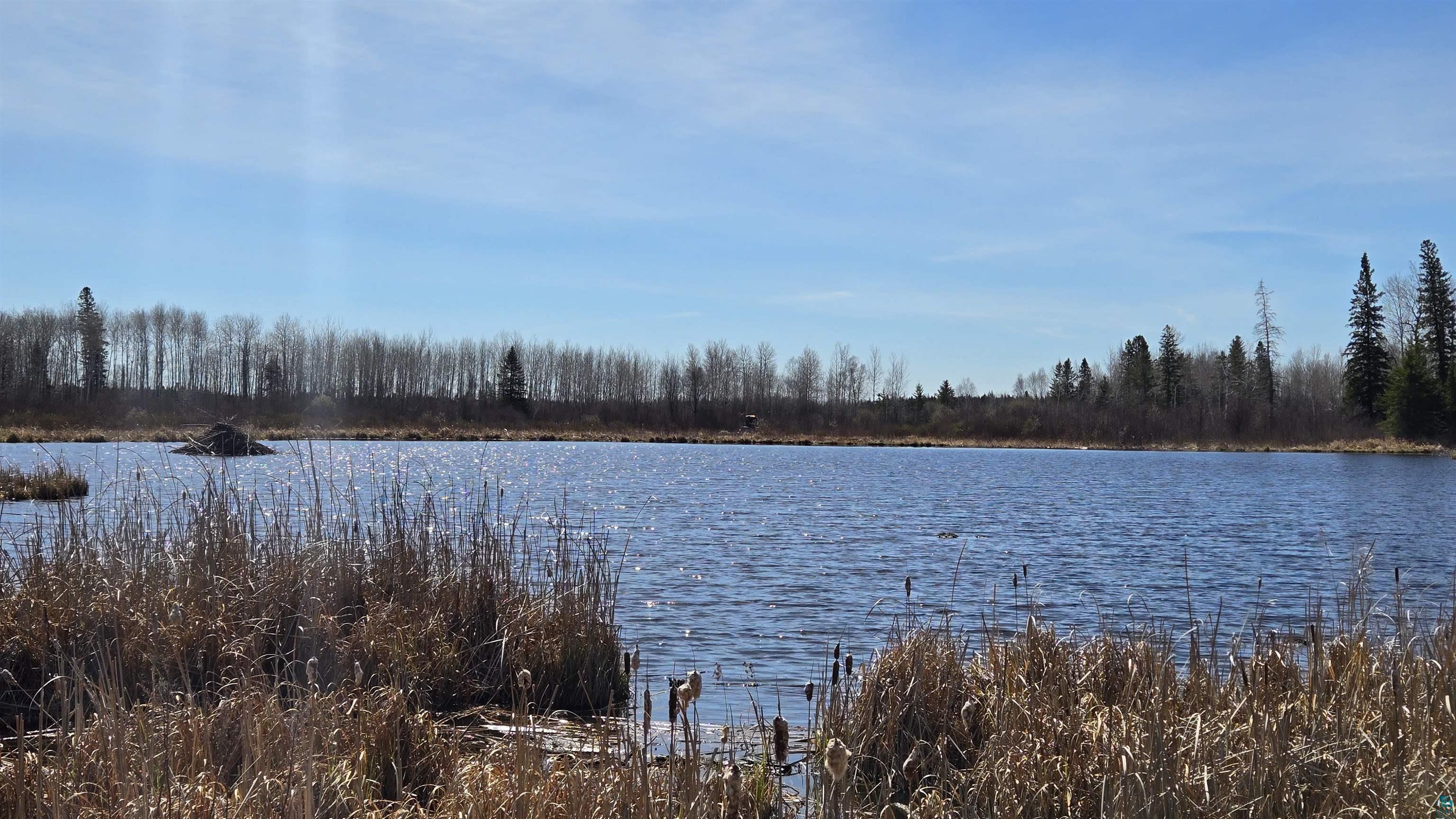 TBD 43 Lummi Rd, Orr, MN 55771 Listing Photo  4