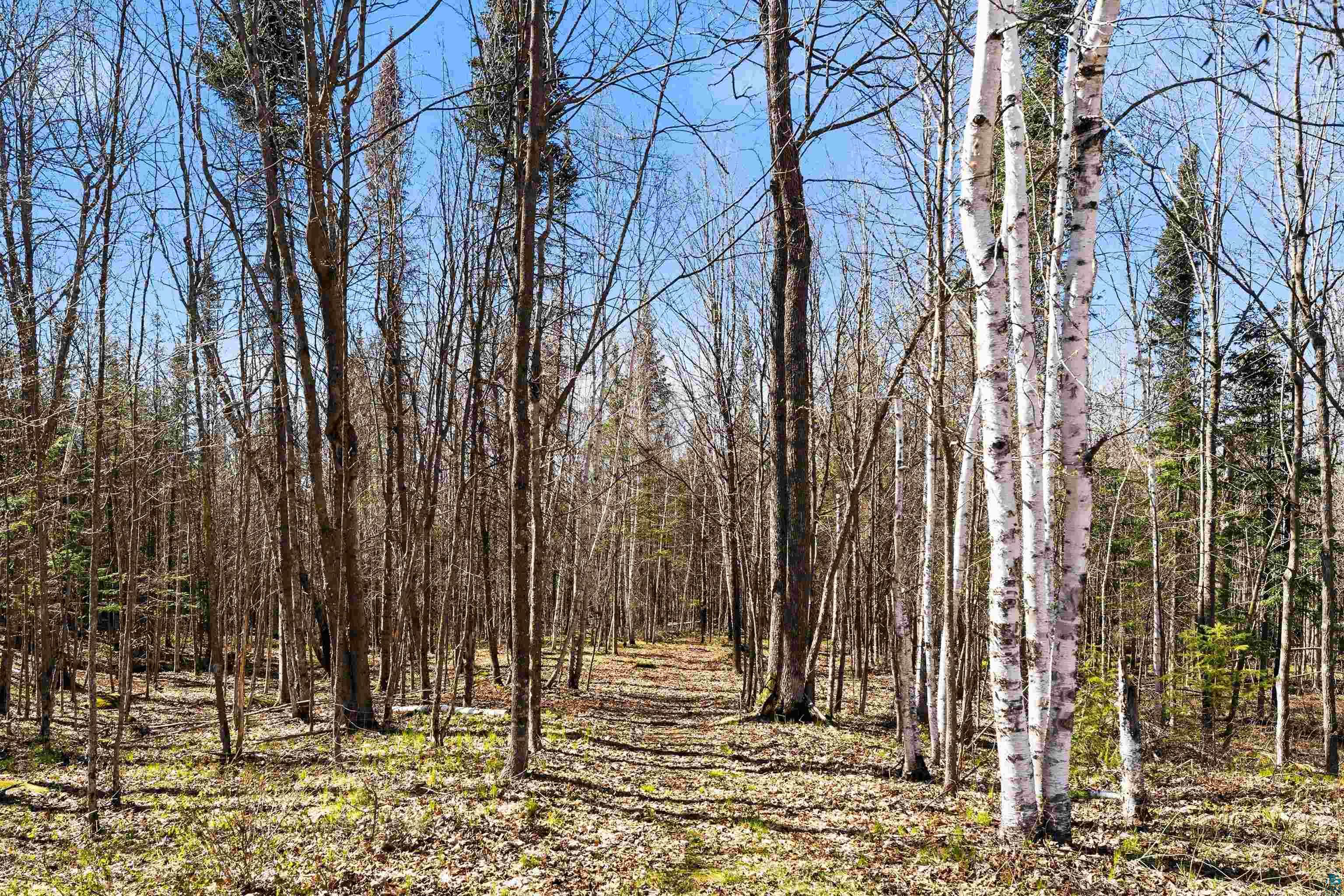 5541 Industrial Rd, Duluth, MN 55811 Listing Photo  43