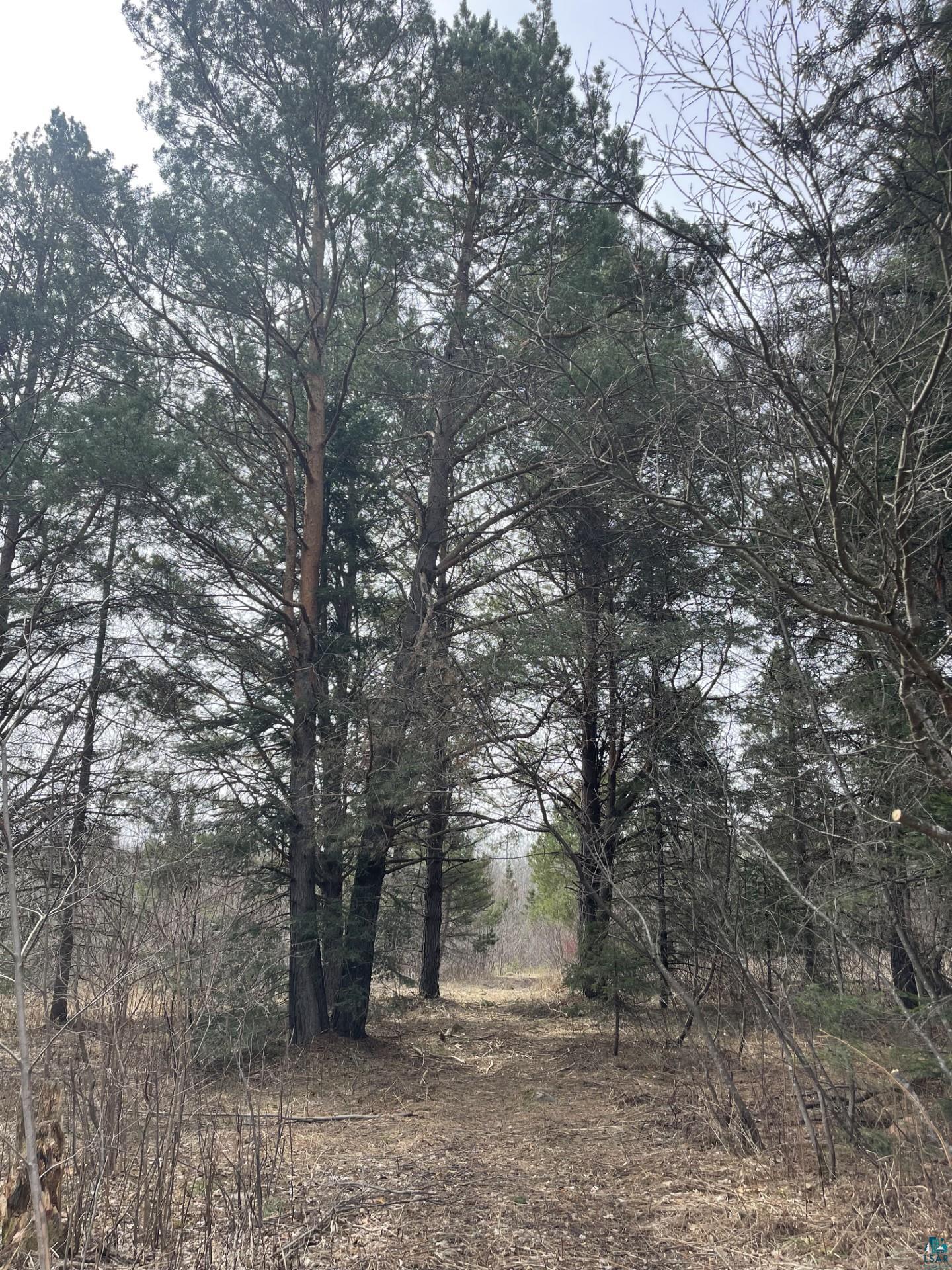 1572 Town Line Rd, Brimson, MN 55602 Listing Photo  27