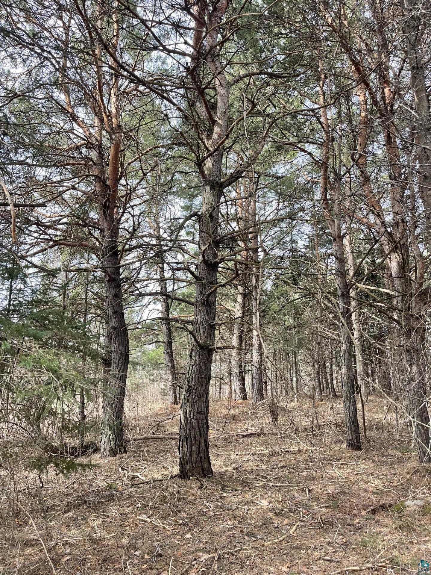 1572 Town Line Rd, Brimson, MN 55602 Listing Photo  34