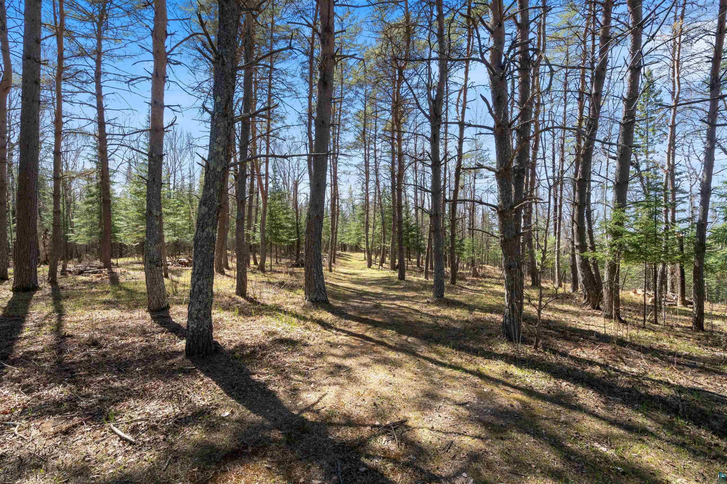 9137 McCamus Rd, Brookston, MN 55711 Listing Photo  27
