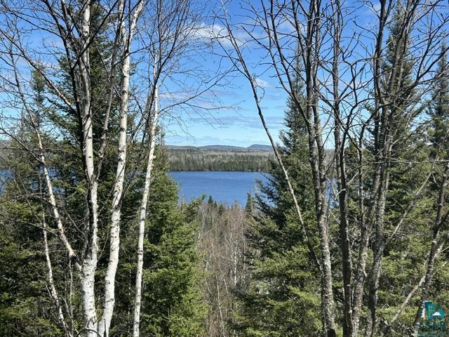 16 Osprey Tr, Lutsen, MN 55612 Listing Photo  20