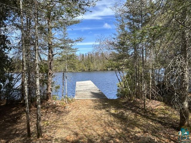 16 Osprey Tr, Lutsen, MN 55612 Listing Photo  3