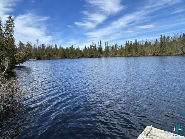 16 Osprey Tr, Lutsen, MN 55612 Listing Photo  5