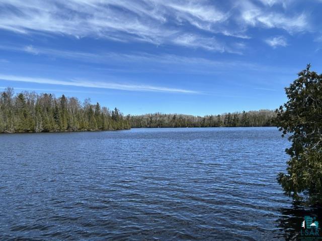 16 Osprey Tr, Lutsen, MN 55612 Listing Photo  6