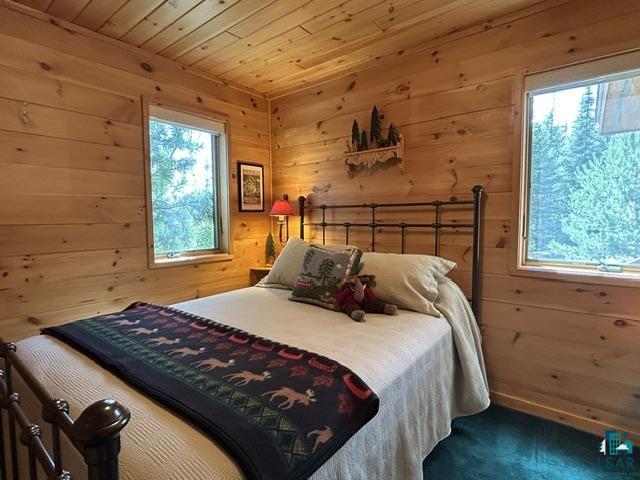 16 Osprey Tr, Lutsen, MN 55612 Listing Photo  58