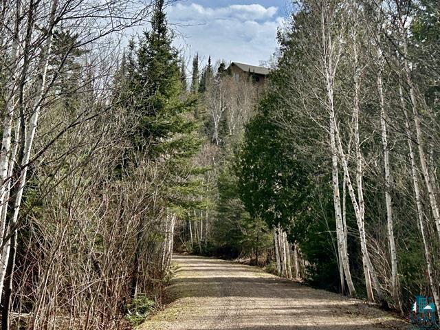 16 Osprey Tr, Lutsen, MN 55612 Listing Photo  8
