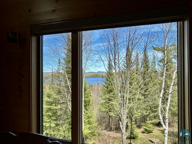 16 Osprey Tr, Lutsen, MN 55612 Listing Photo  73