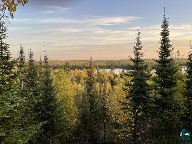 16 Osprey Tr, Lutsen, MN 55612 Listing Photo  77
