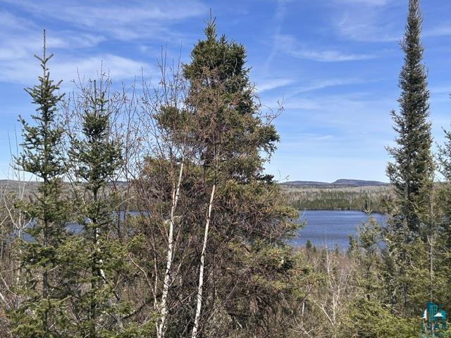 16 Osprey Tr, Lutsen, MN 55612 Listing Photo  85