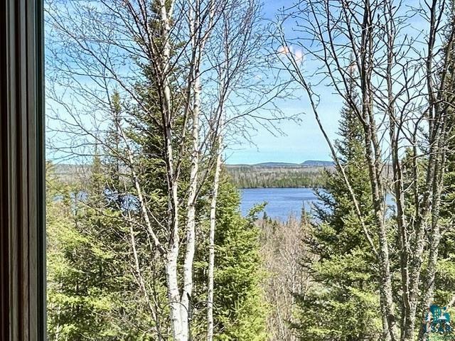 16 Osprey Tr, Lutsen, MN 55612 Listing Photo  86