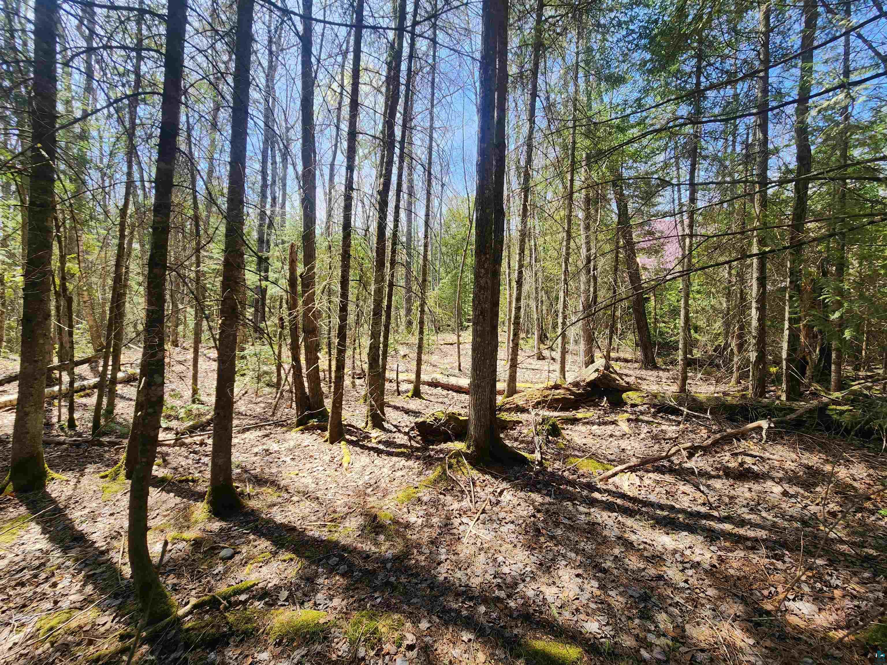 87644 Bjorn Rd, Bayfield, WI 54814 Listing Photo  24