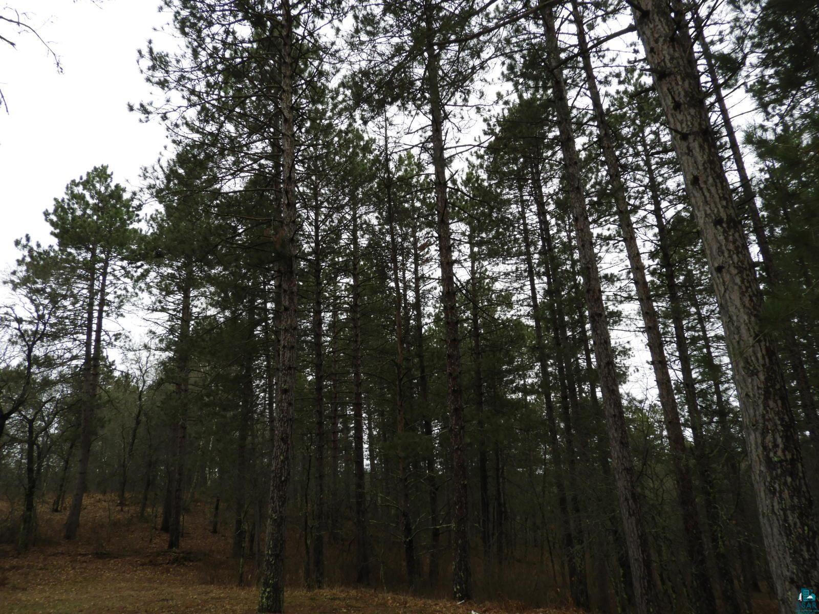 XXXX Wilderness Ct, Barnes, WI 54873 Listing Photo  5