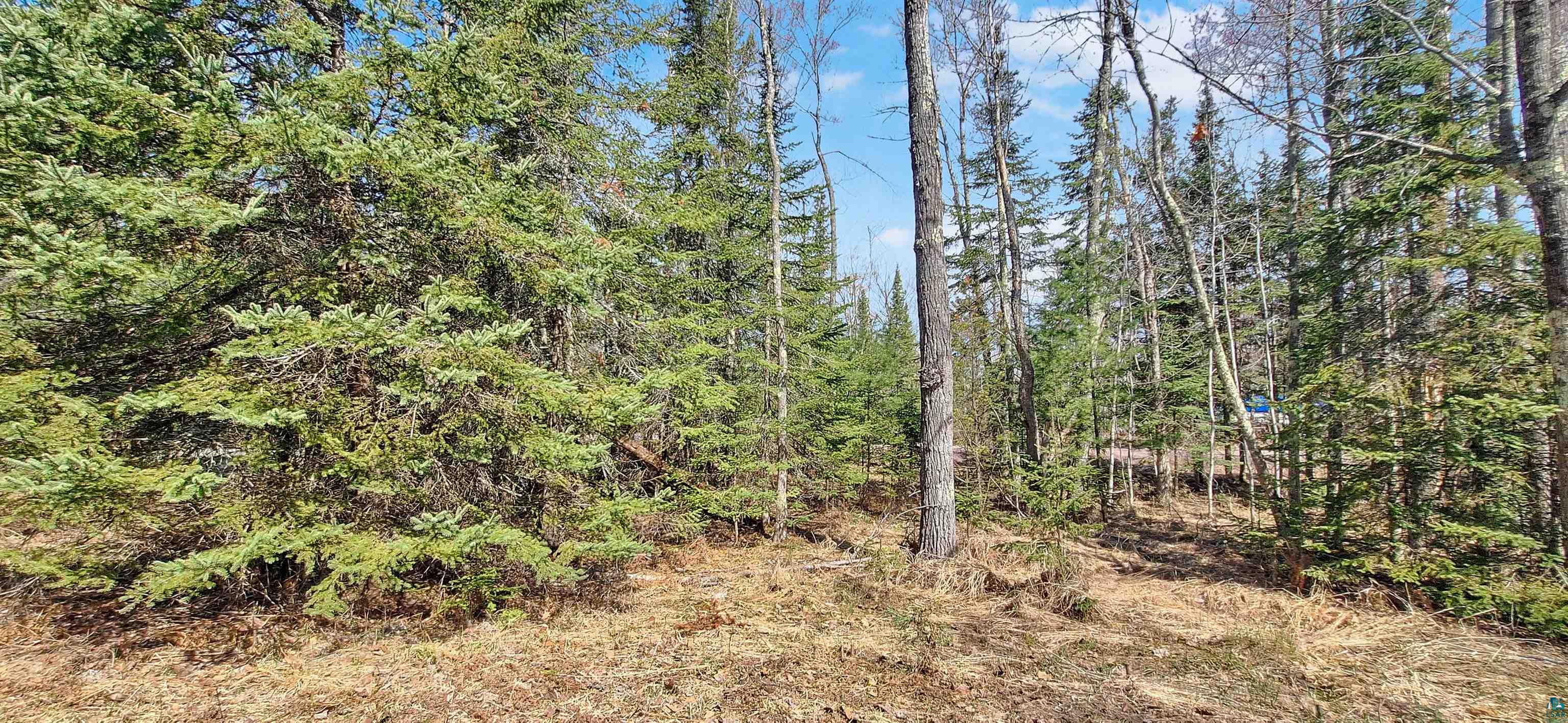 xxx Mondamin Tr, LaPointe, WI 54850 Listing Photo  3