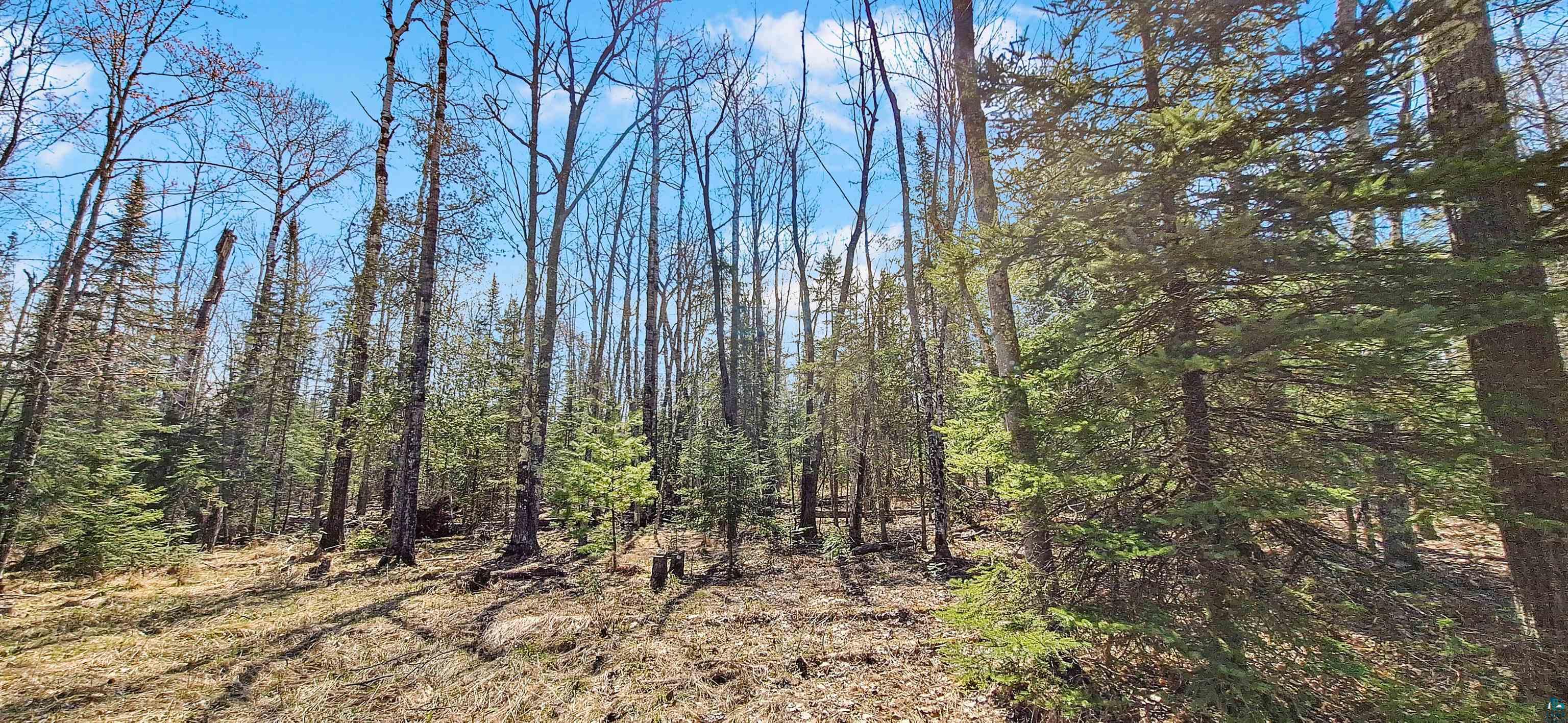 xxx Mondamin Tr, LaPointe, WI 54850 Listing Photo  4