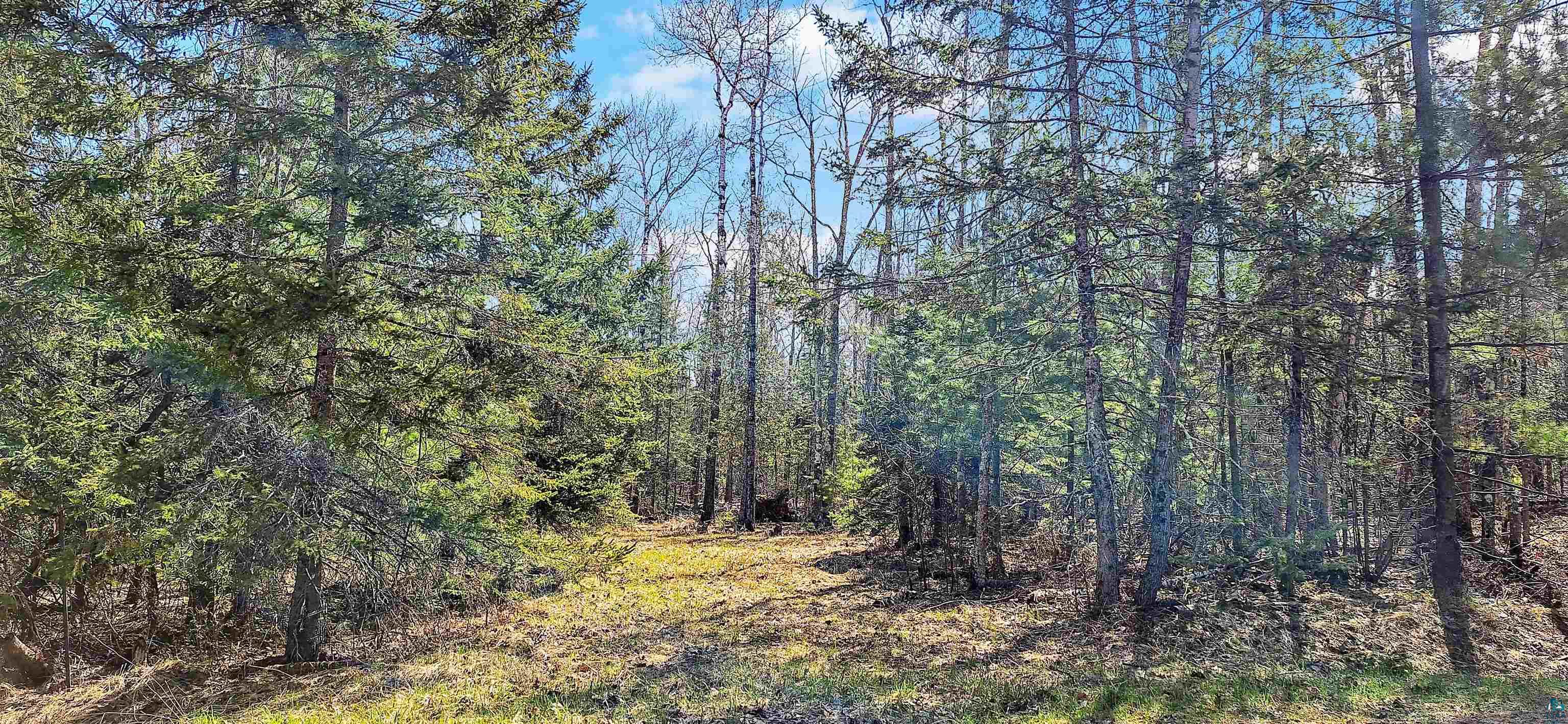 xxx Mondamin Tr, LaPointe, WI 54850 Listing Photo  5