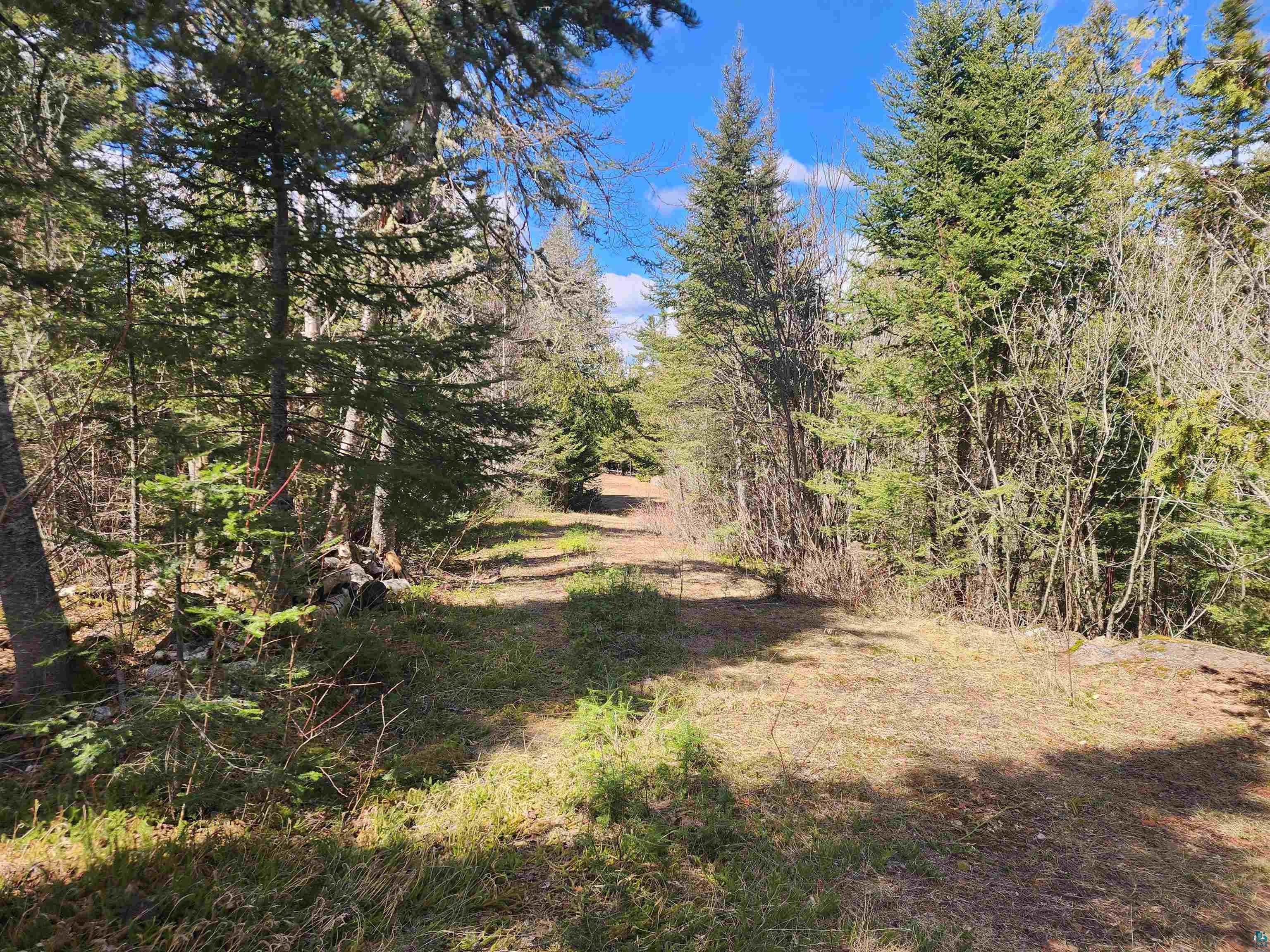 Lot 8 Wilderness Tr, Hovland, MN 55606 Listing Photo  2