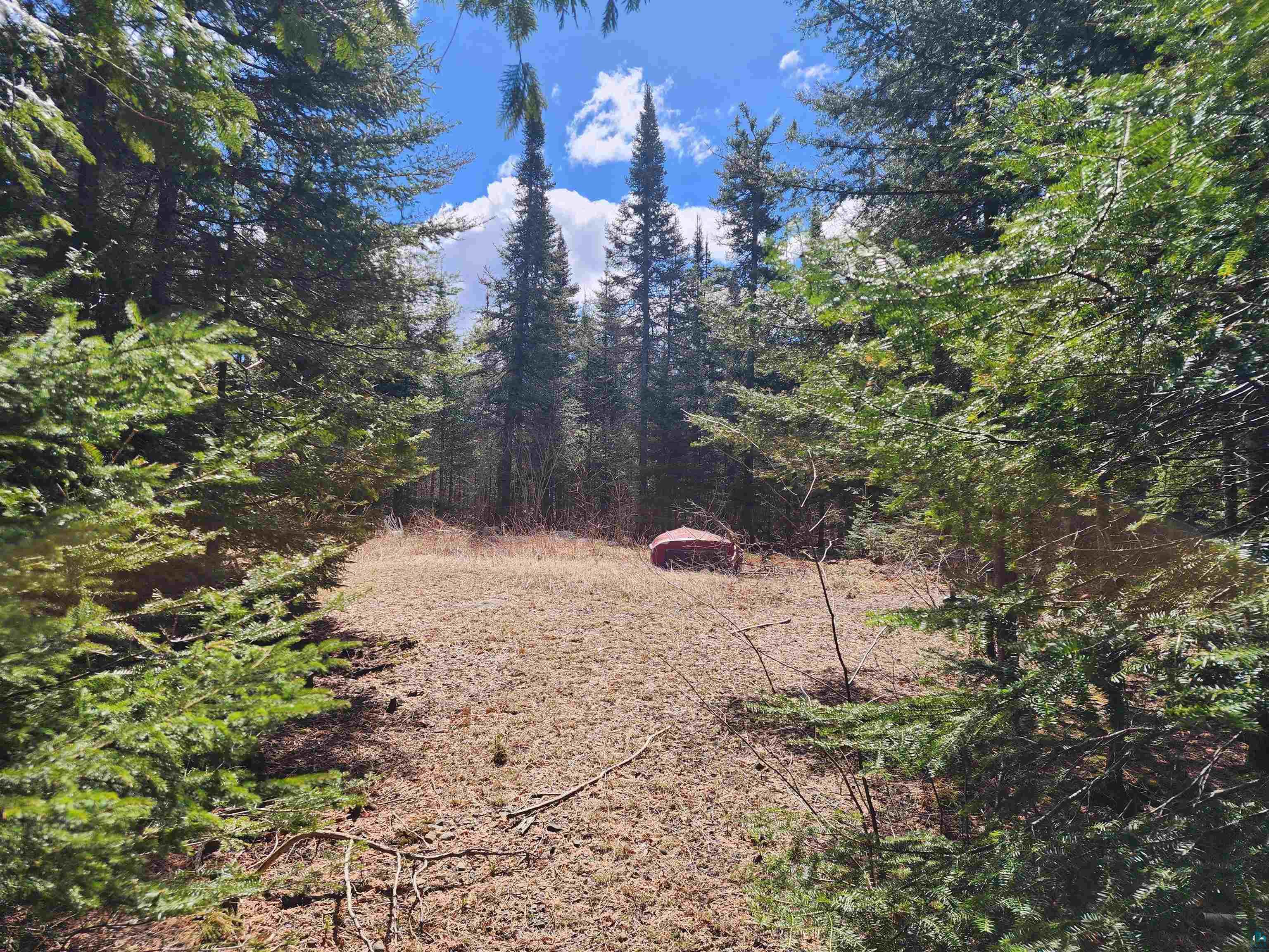 Lot 8 Wilderness Tr, Hovland, MN 55606 Listing Photo  3