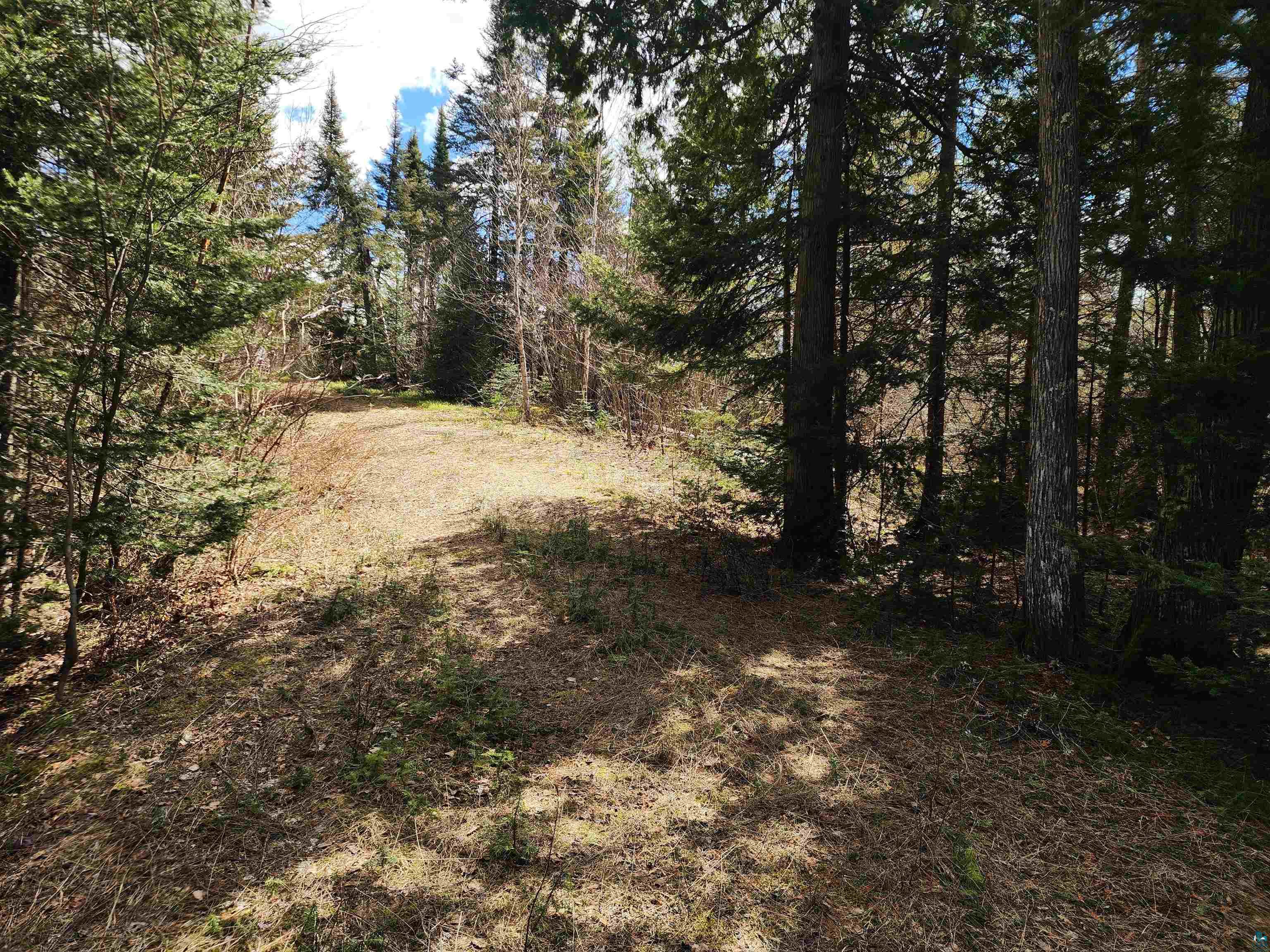 Lot 8 Wilderness Tr, Hovland, MN 55606 Listing Photo  8