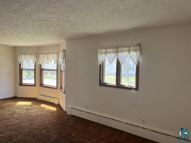 1102 McKinley Ave, Eveleth, MN 55734 Listing Photo  13