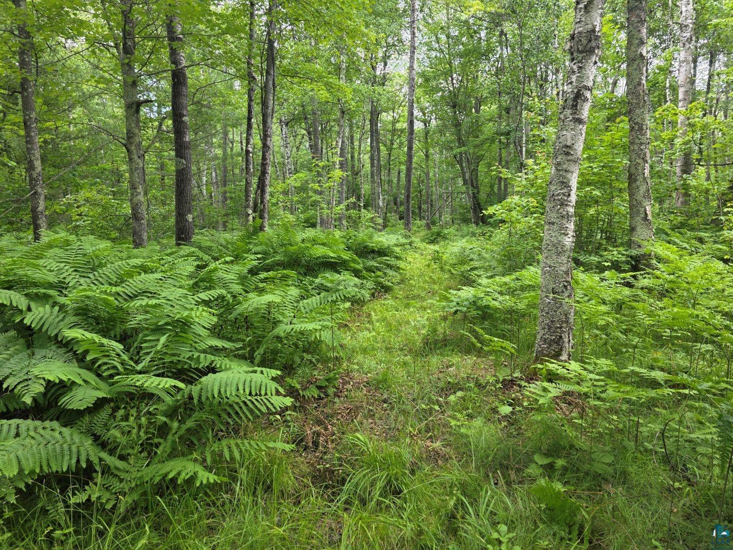 1567 North Shore Rd, LaPointe, WI 54850 Listing Photo  3