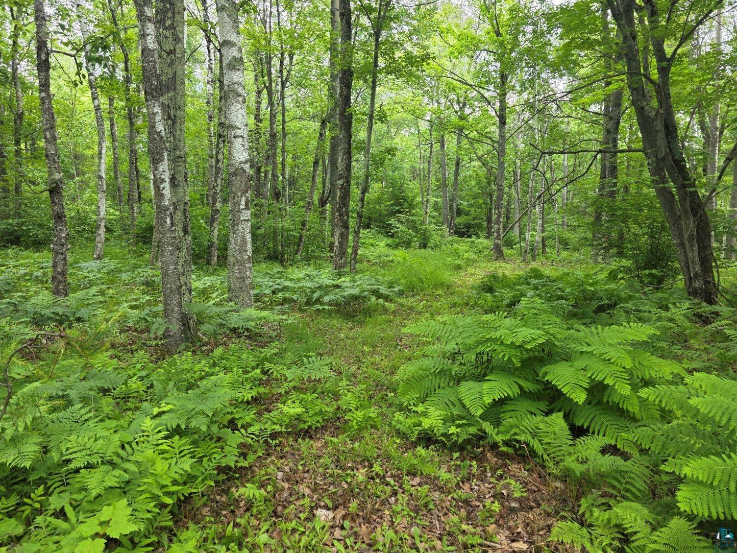 1567 North Shore Rd, LaPointe, WI 54850 Listing Photo  4