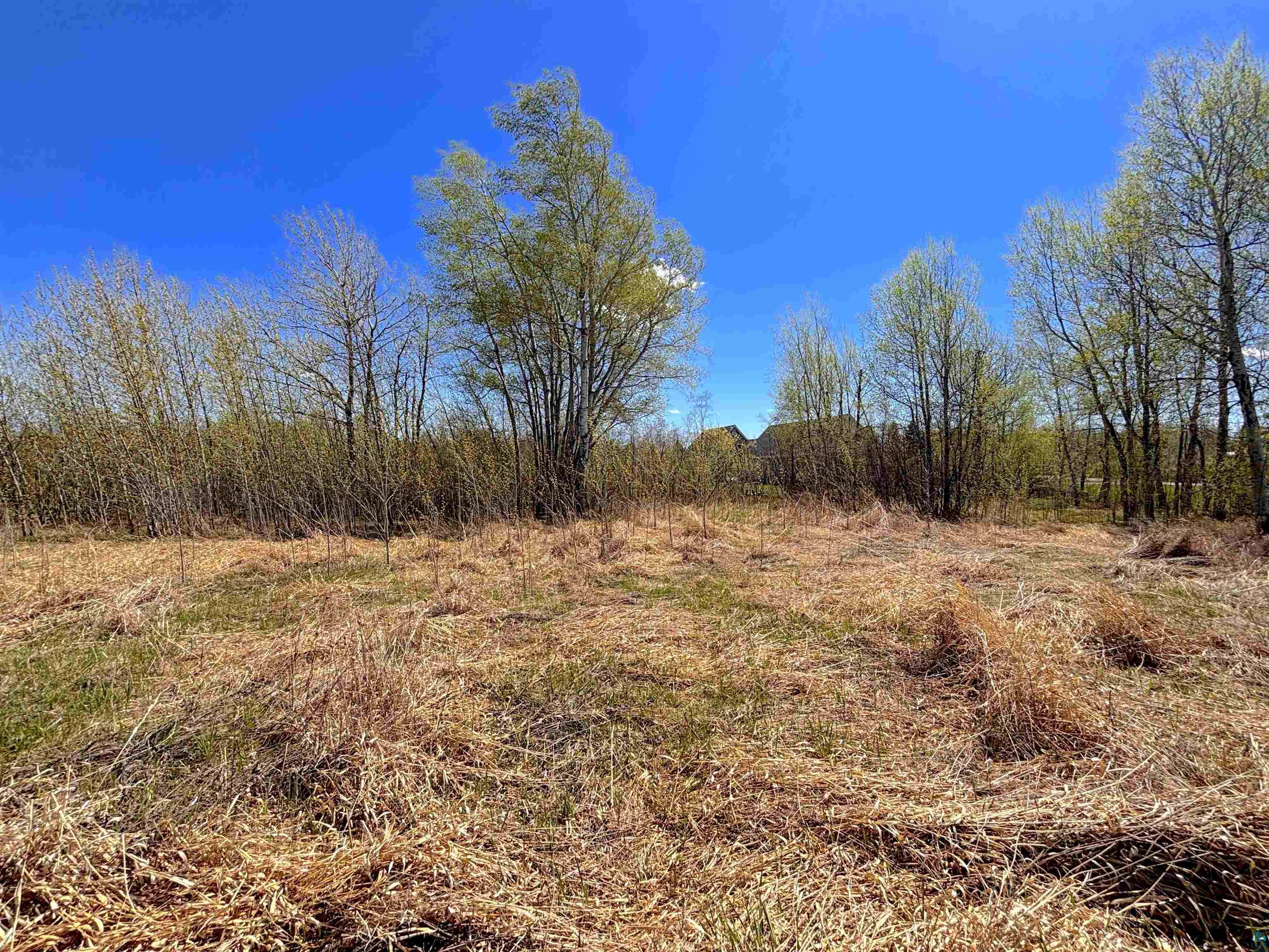 22XX Bardon Ave, Superior, WI 54880 Listing Photo  4