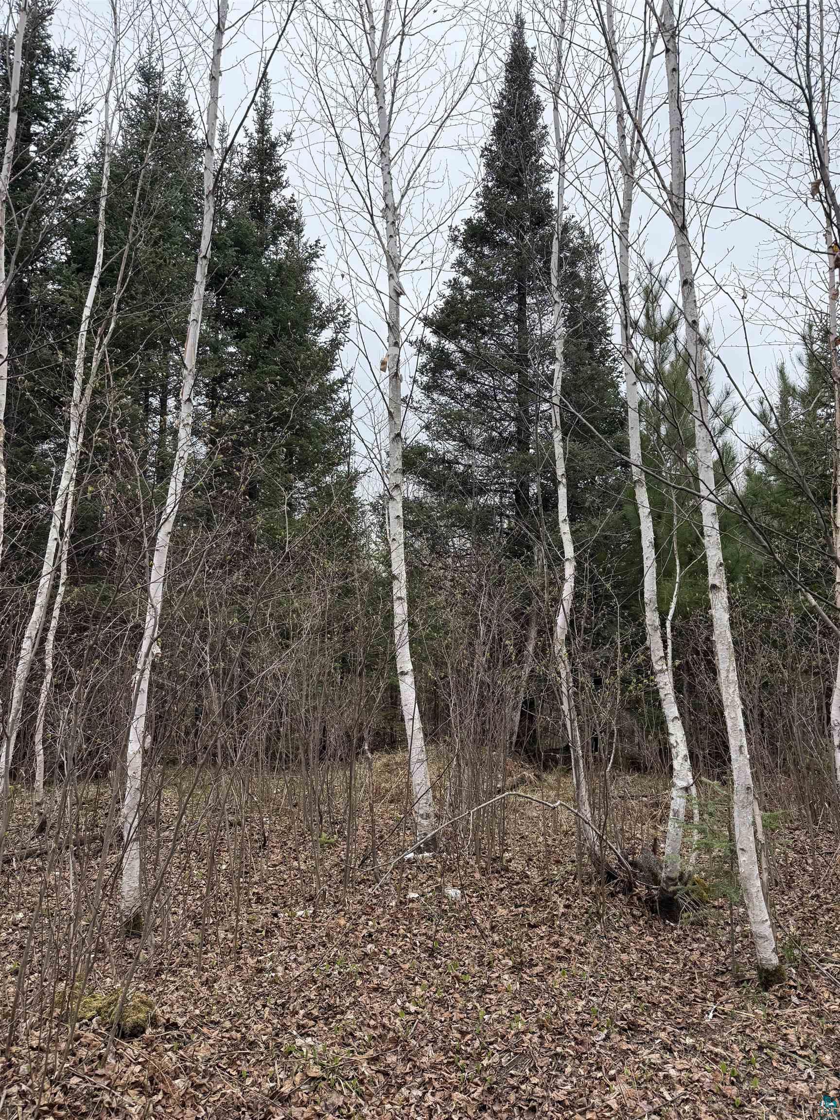 TBD Scout Camp Rd, Eveleth, MN 55734 Listing Photo  11