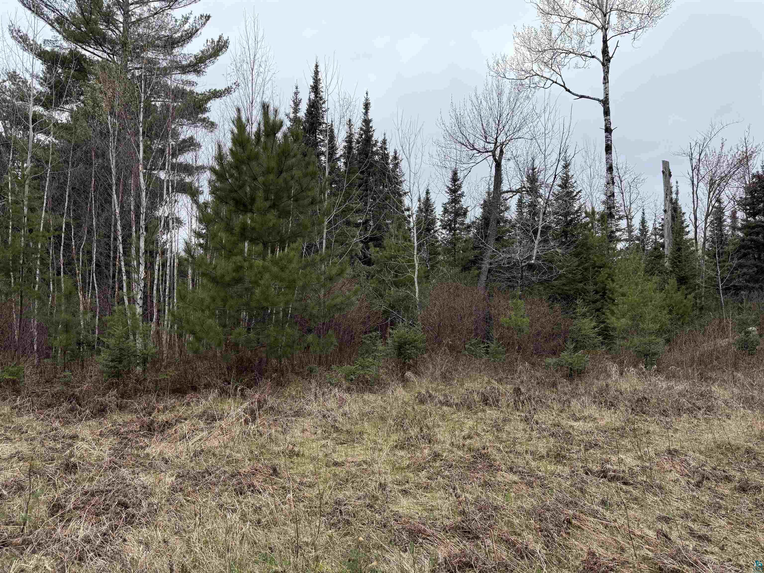TBD Scout Camp Rd, Eveleth, MN 55734 Listing Photo  13
