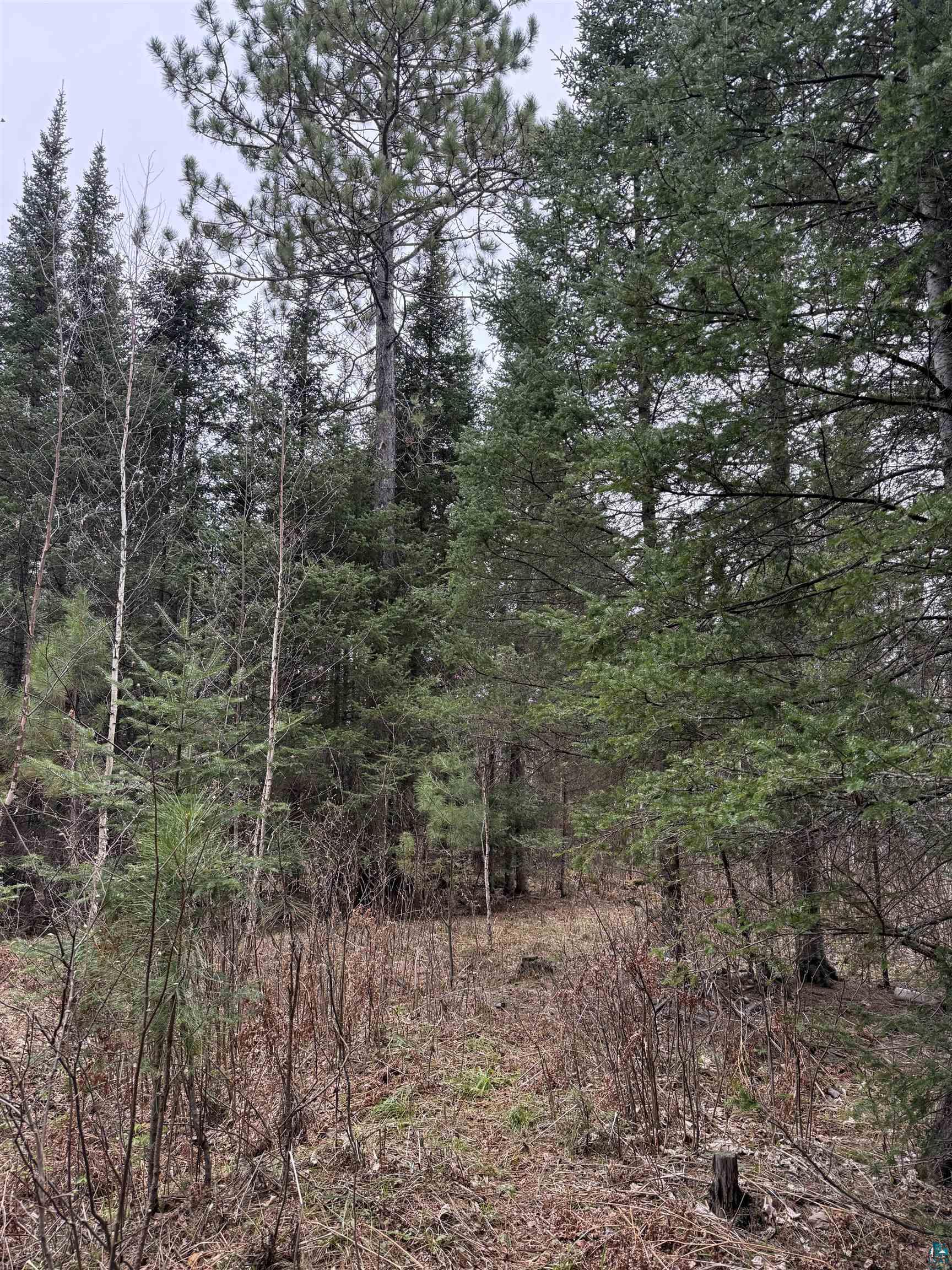 TBD Scout Camp Rd, Eveleth, MN 55734 Listing Photo  14